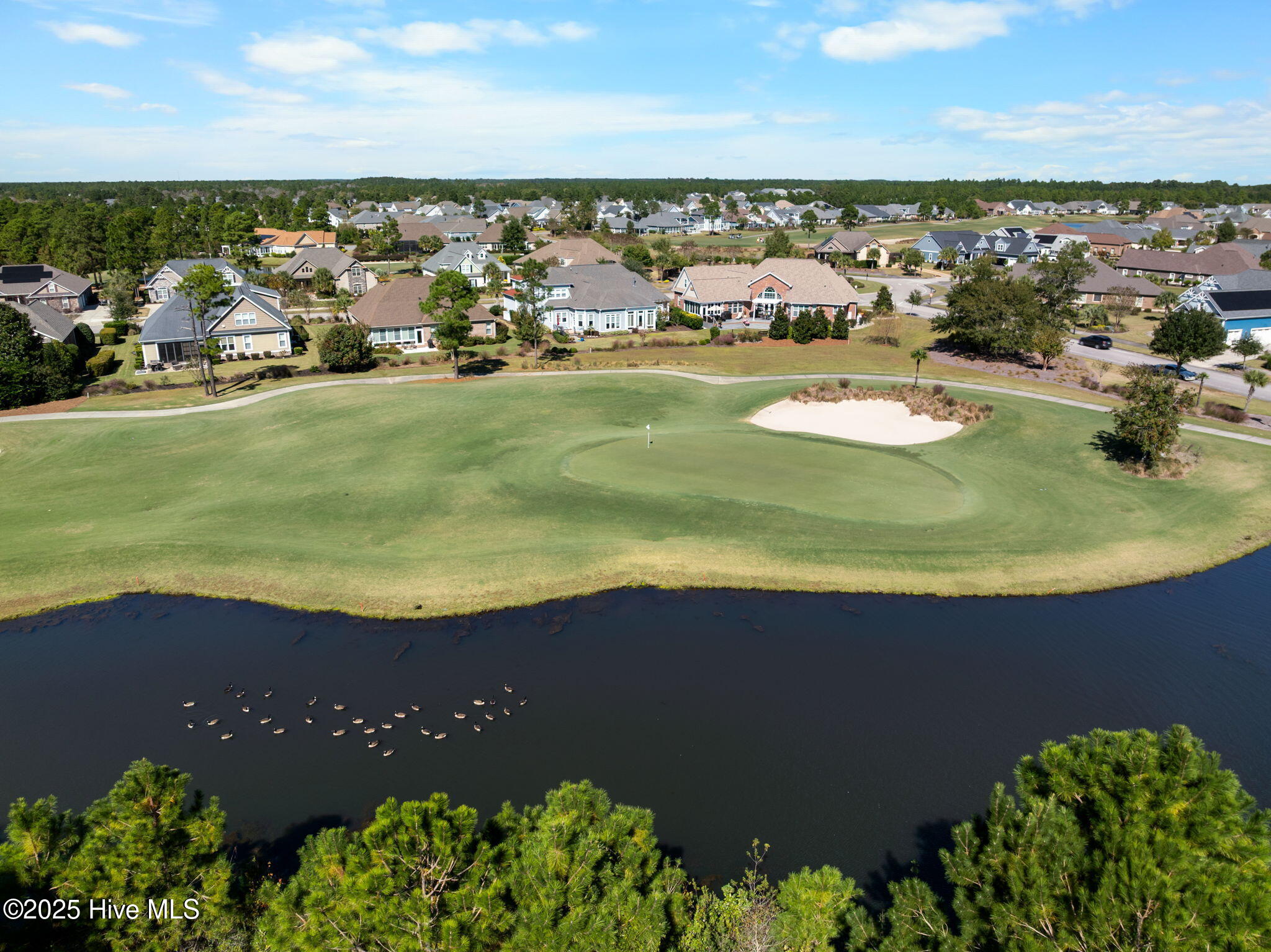 100544684 | Photo 80