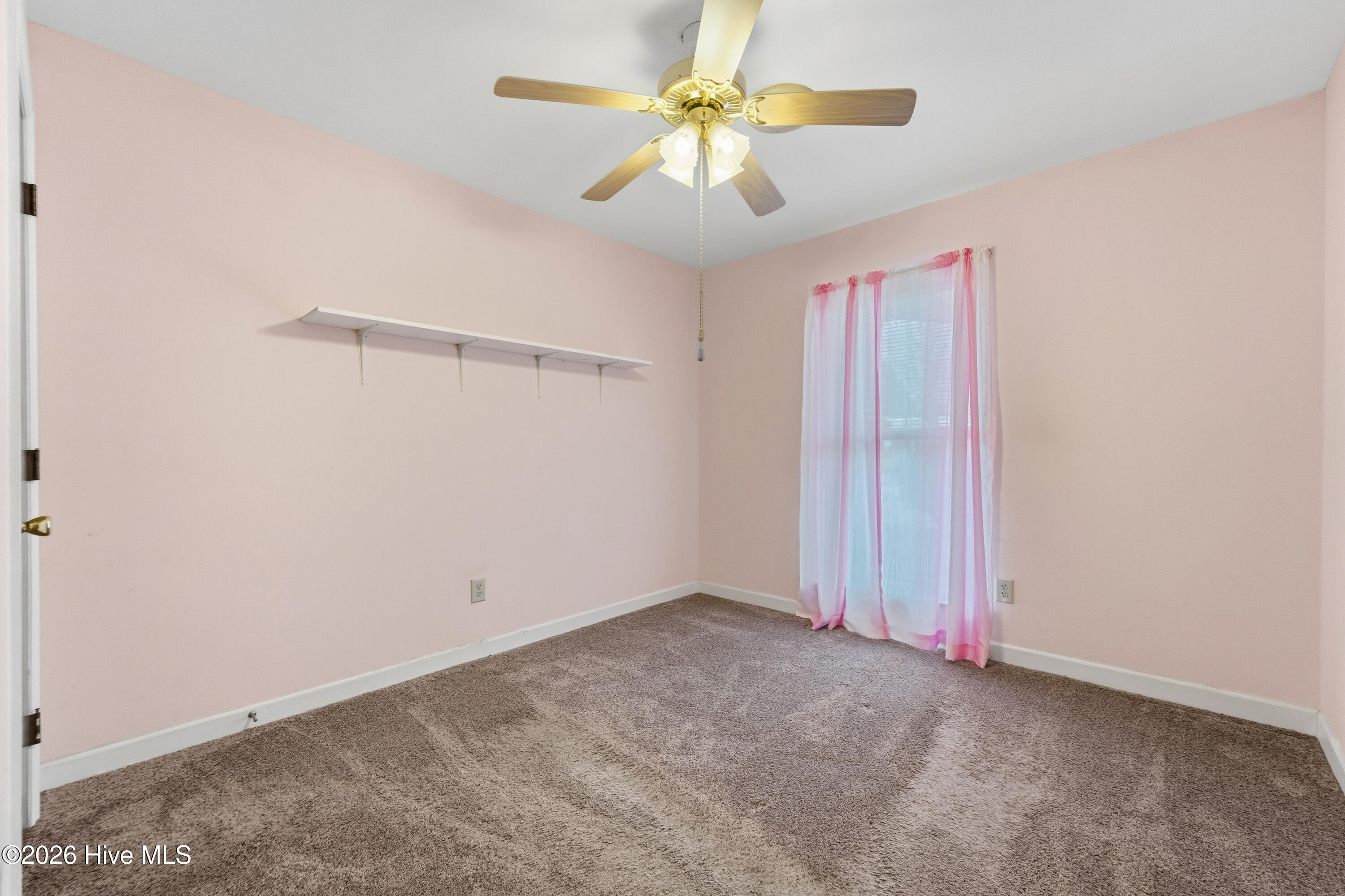 100556367 | Photo 28