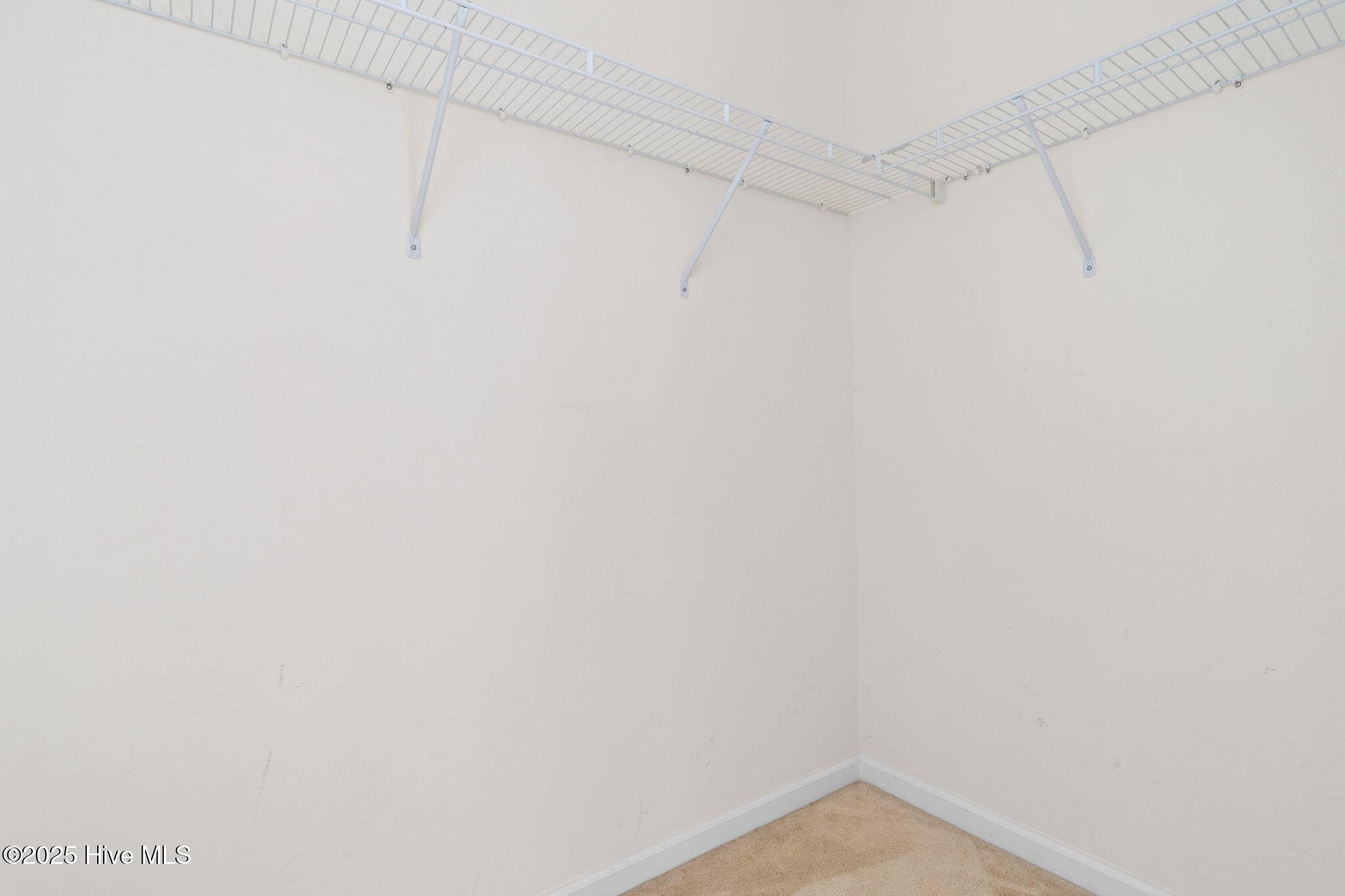 100536152 | Photo 33