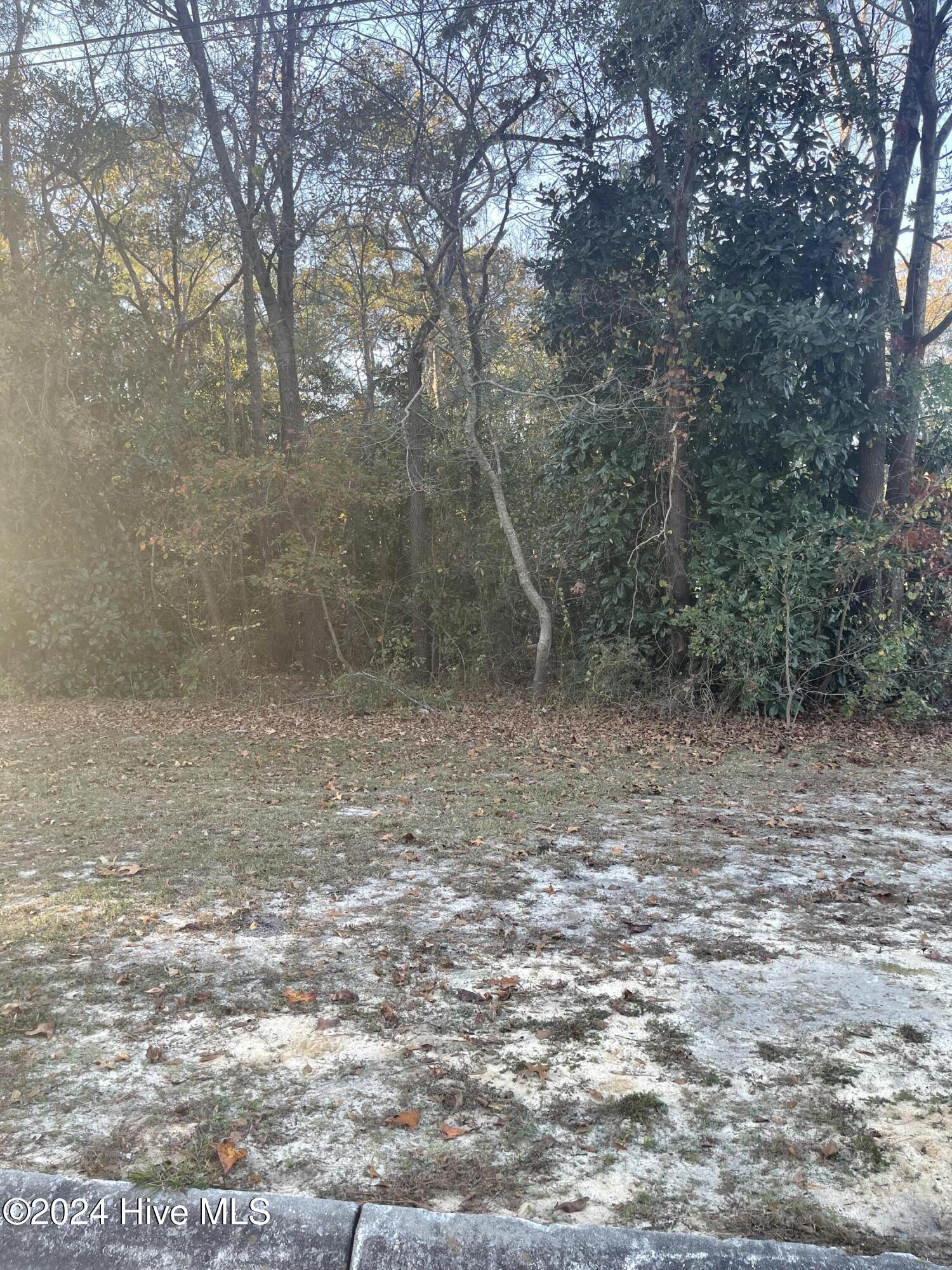 408 Lake Pines Drive, La Grange, NC, 28551