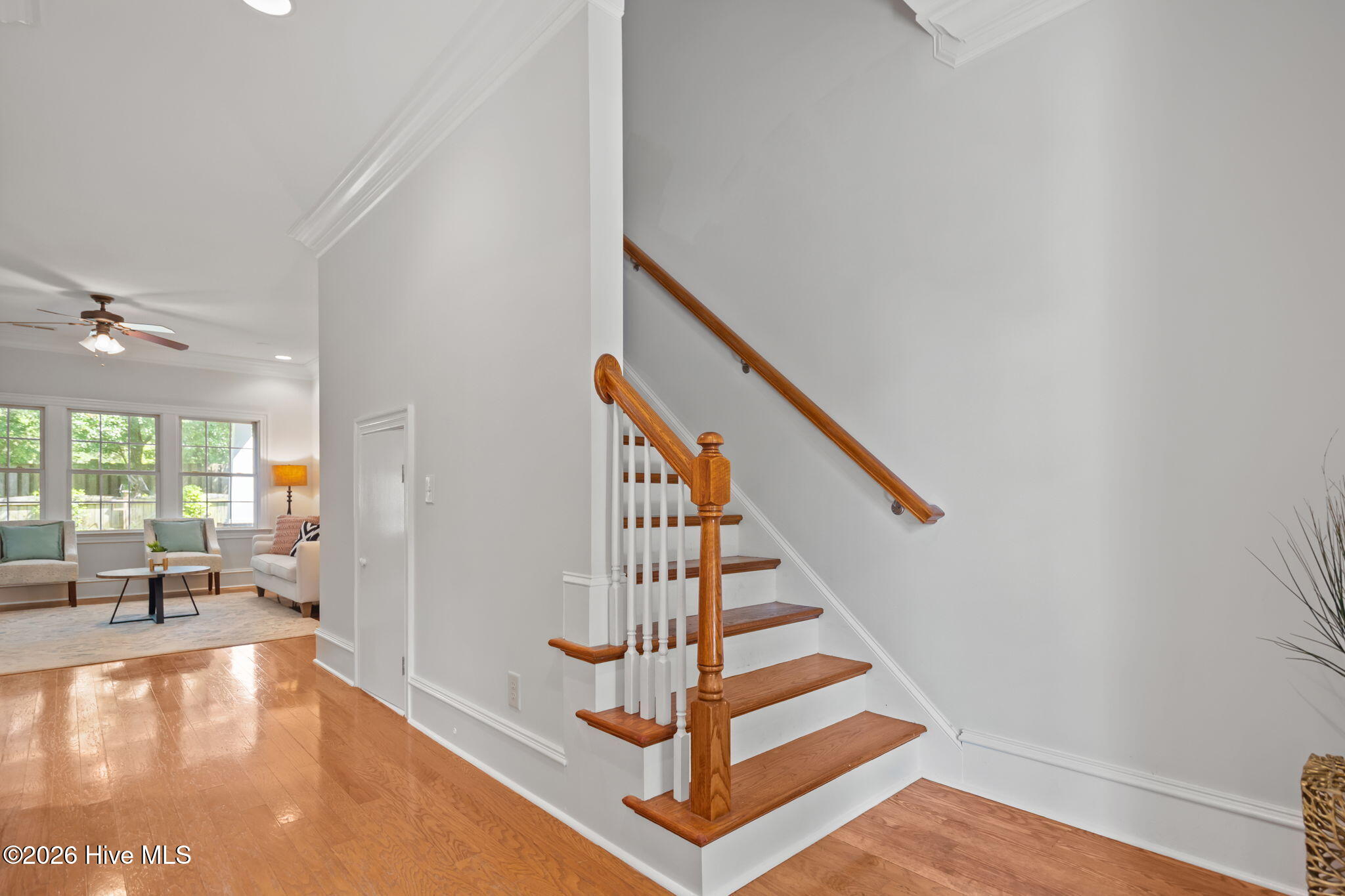 100563251 | Photo 19