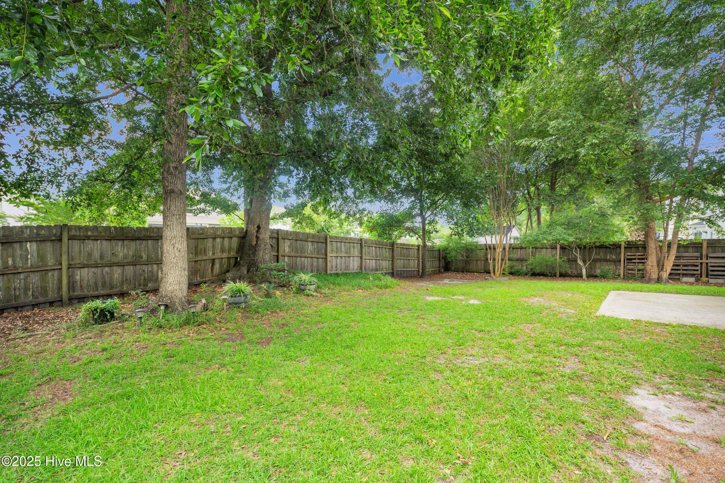 100532277 | Photo 48