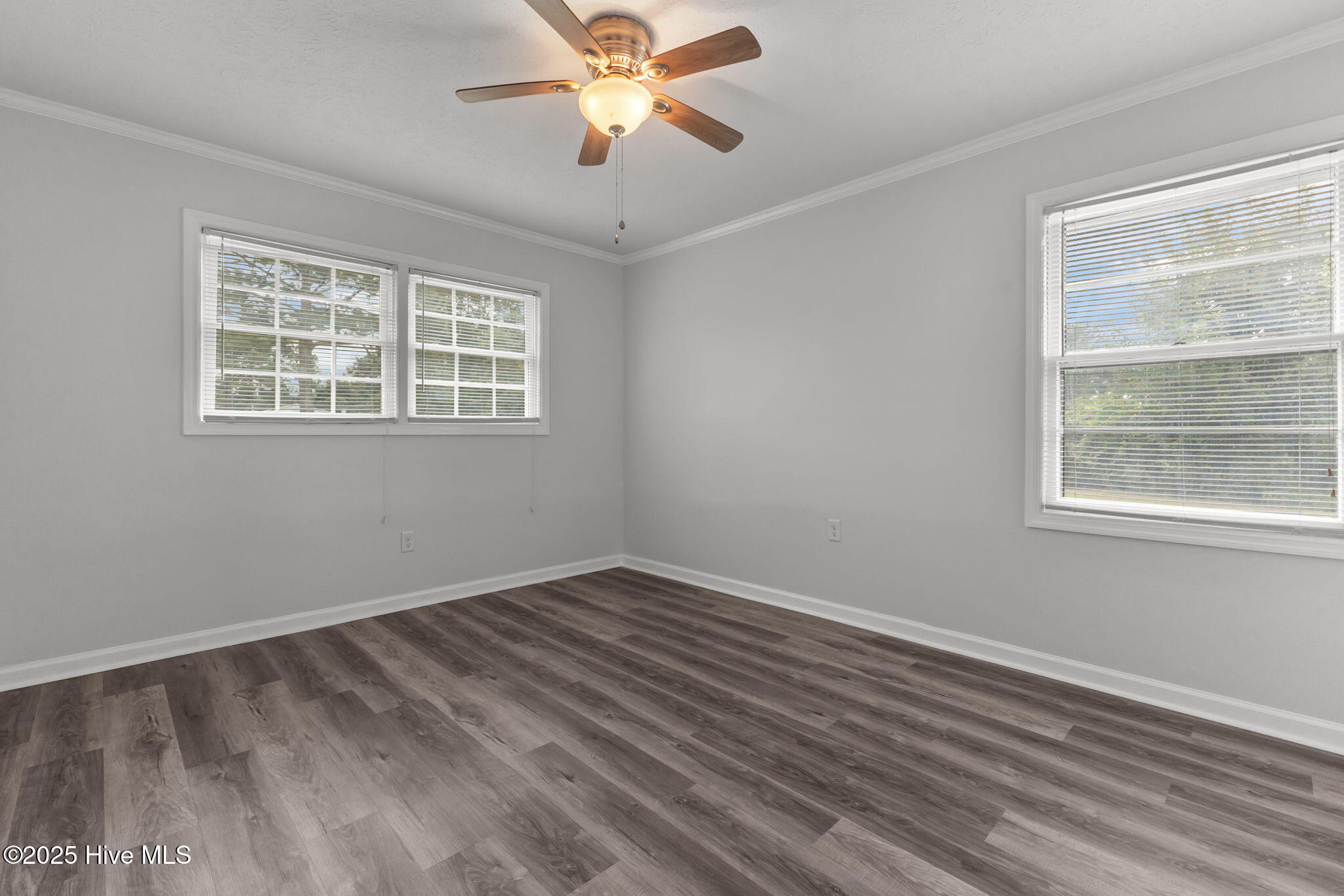 100526515 | Photo 15