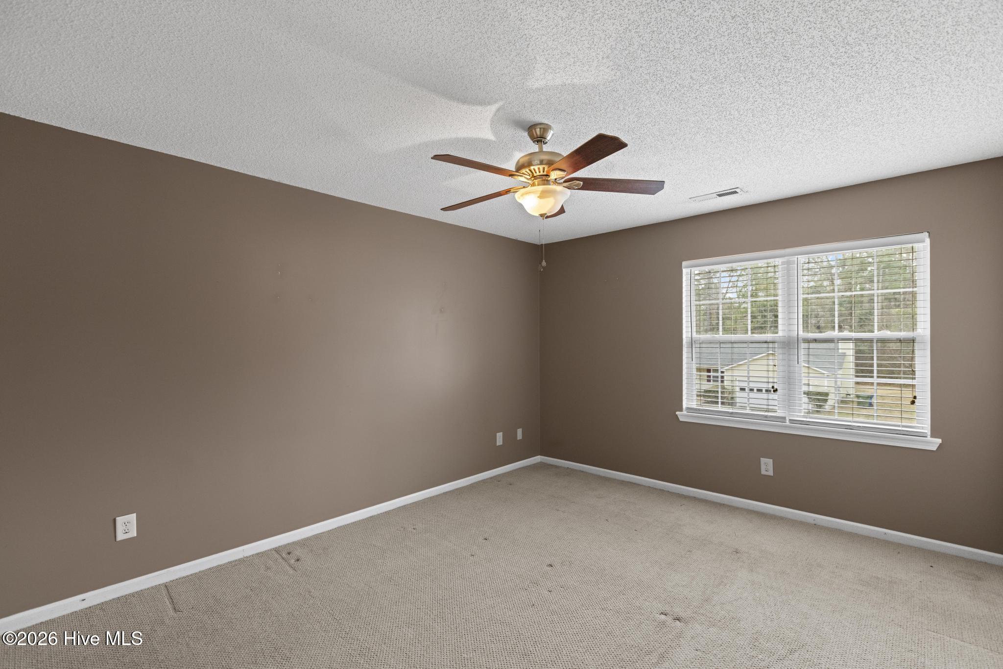 100556616 | Photo 18