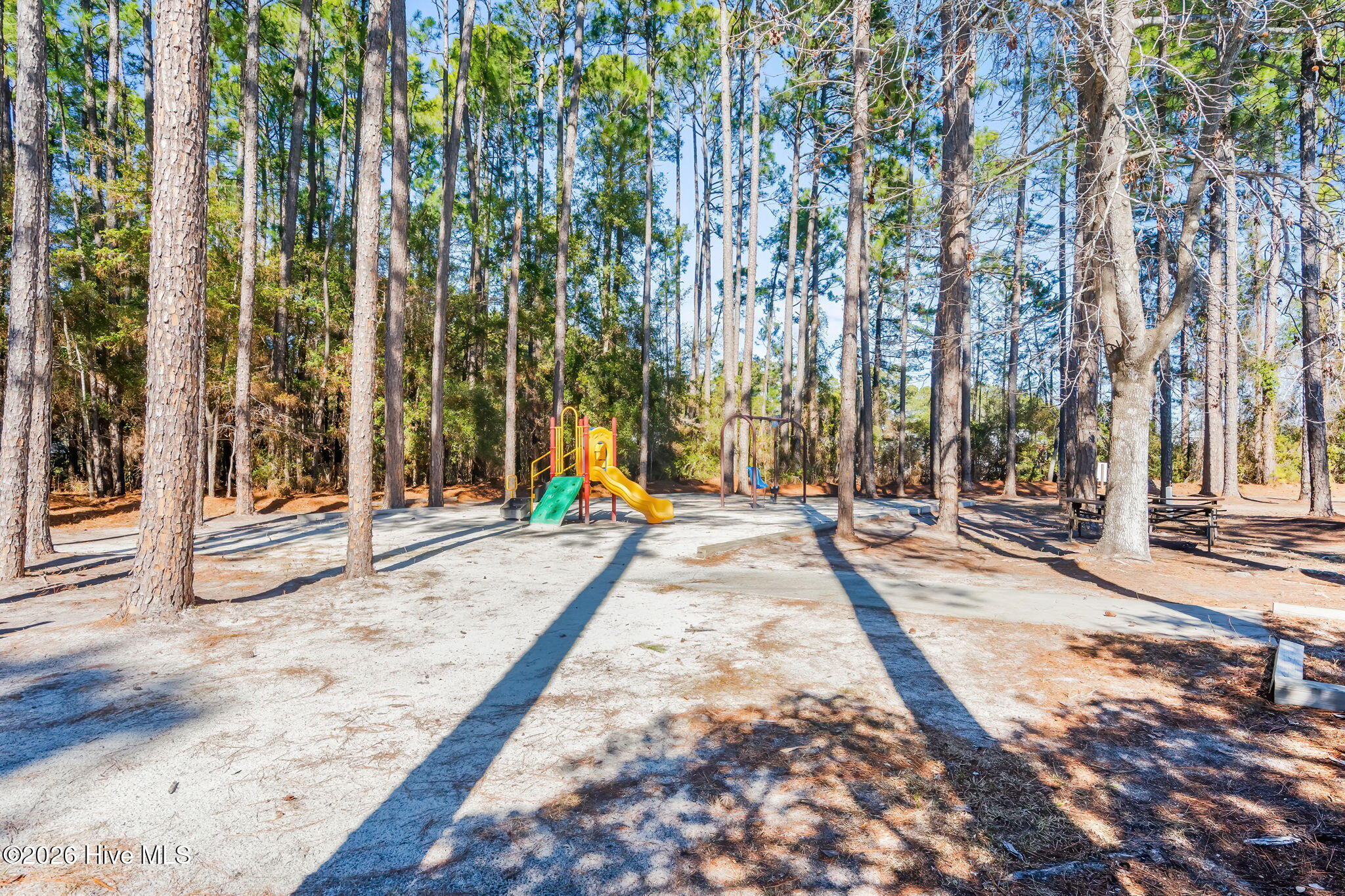 100513305 | Photo 52