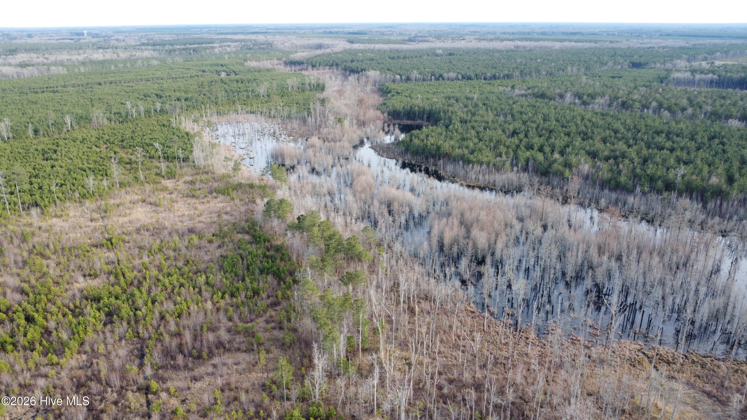 Homes for sale in Windsor, NC | 943 Off 943 Governors Rd Nc 308 Rd, Windsor, NC 27983 | MLS# 100555210