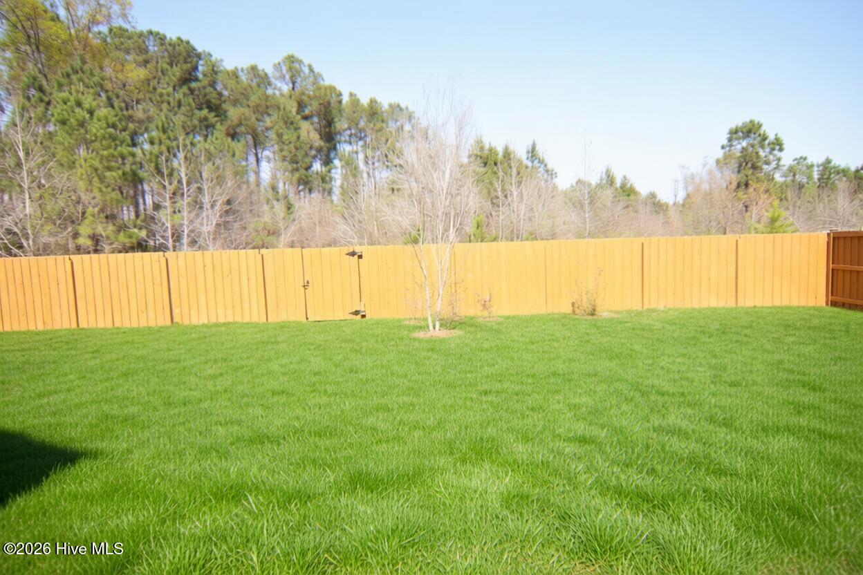 100565825 | Photo 40