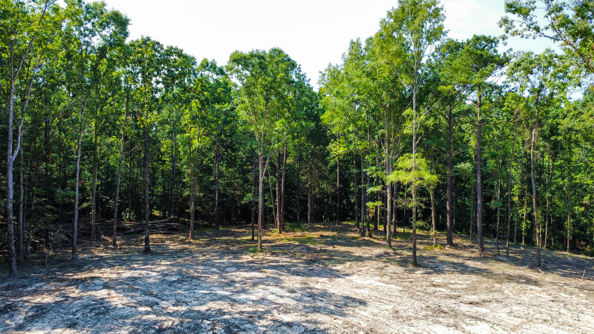 0 Backway Road, Lincolnton, GA, 30817