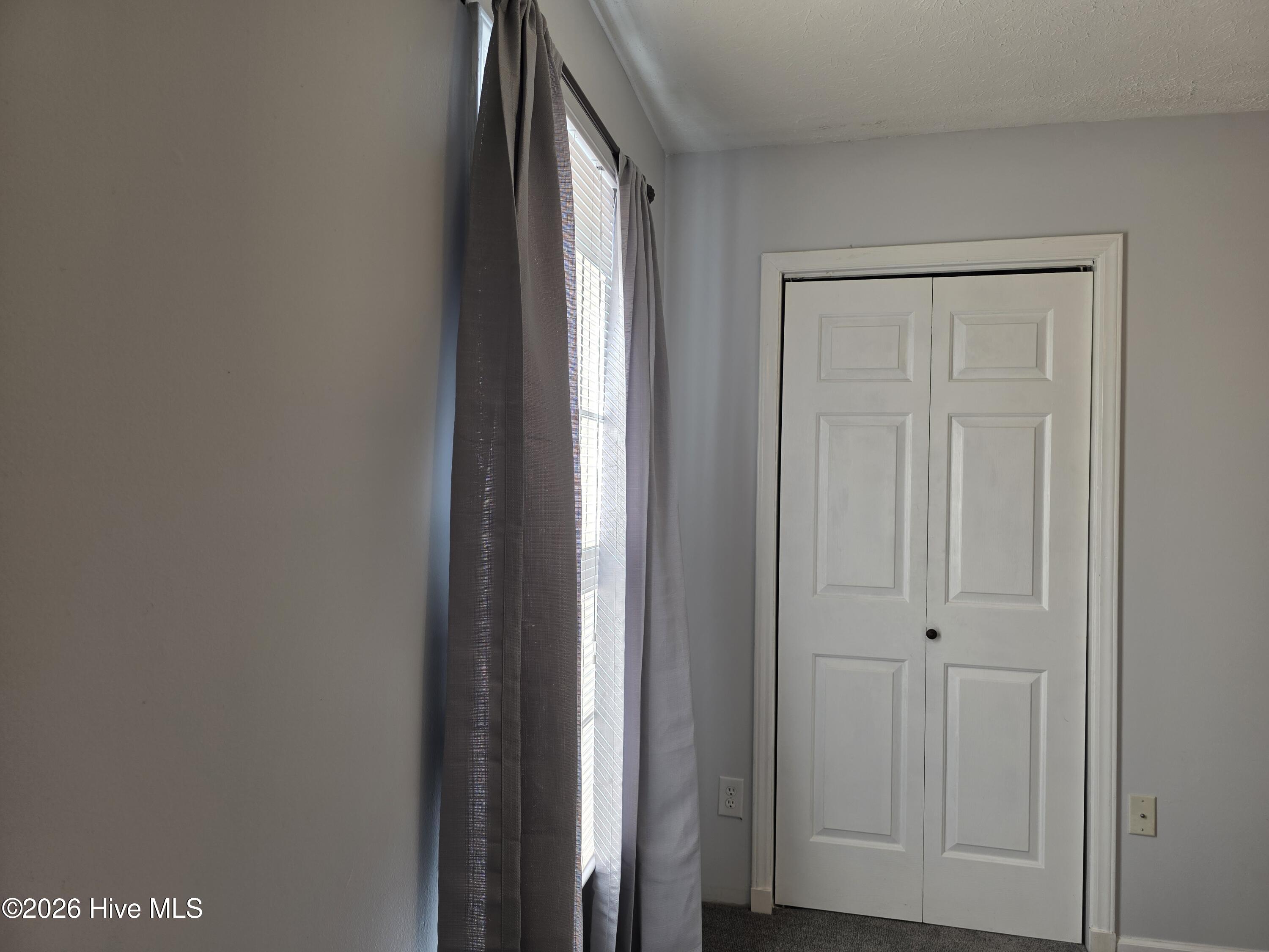 100554499 | Photo 19