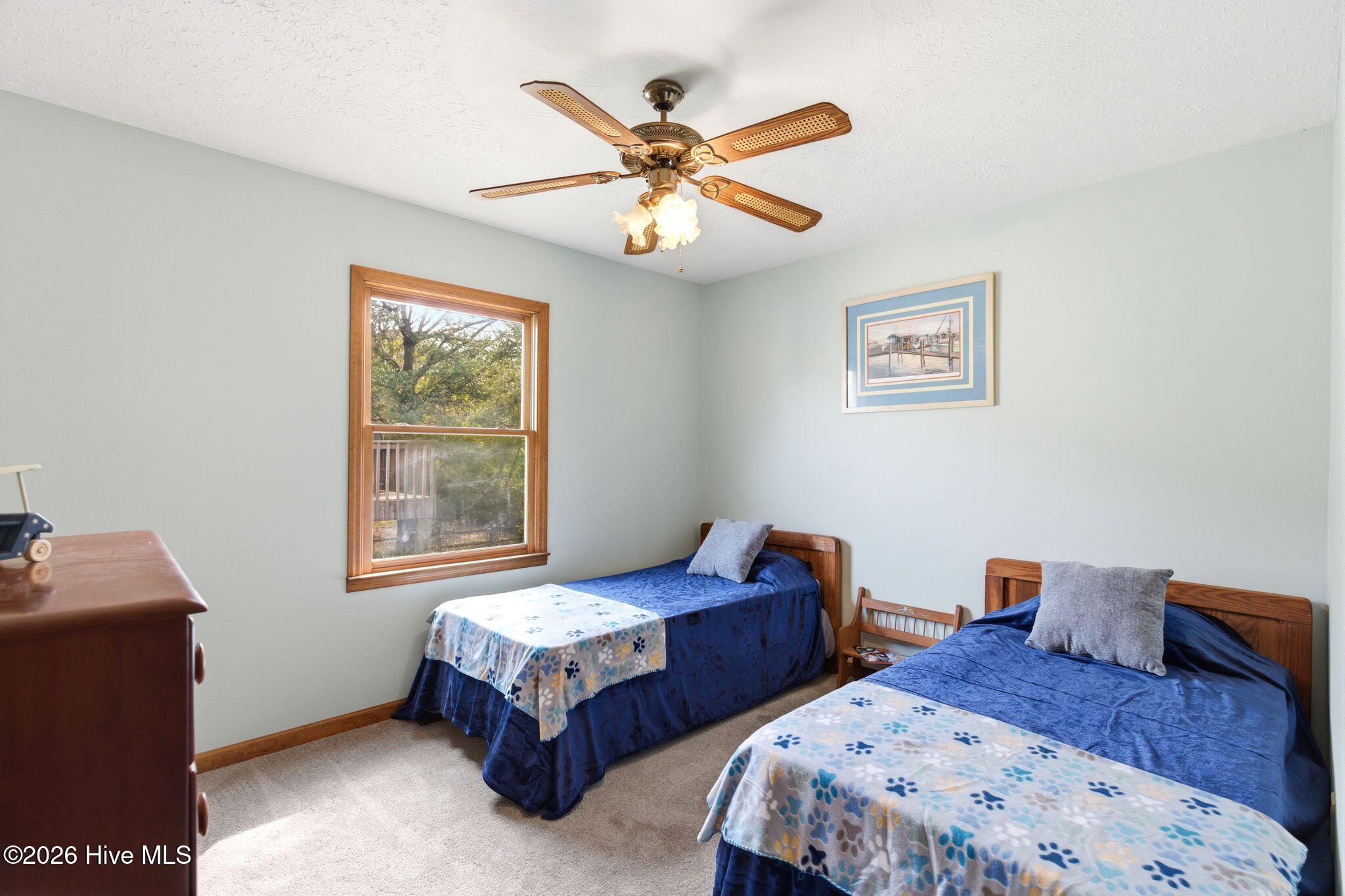 100564018 | Photo 27