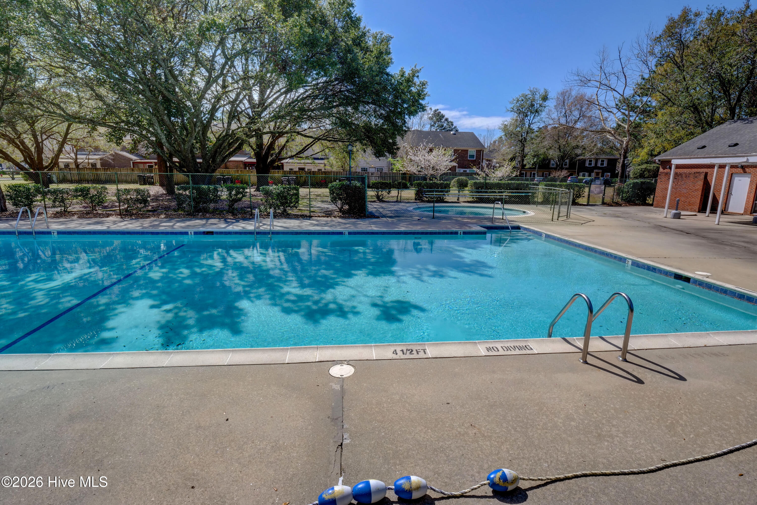 100559054 | Photo 32