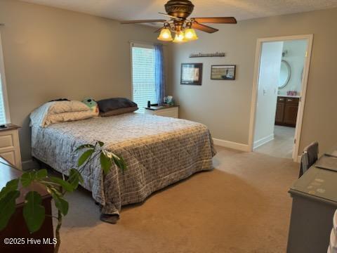 100542837 | Photo 10