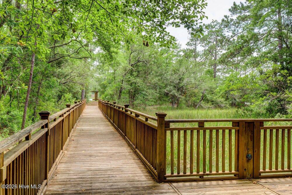 100563966 | Photo 86