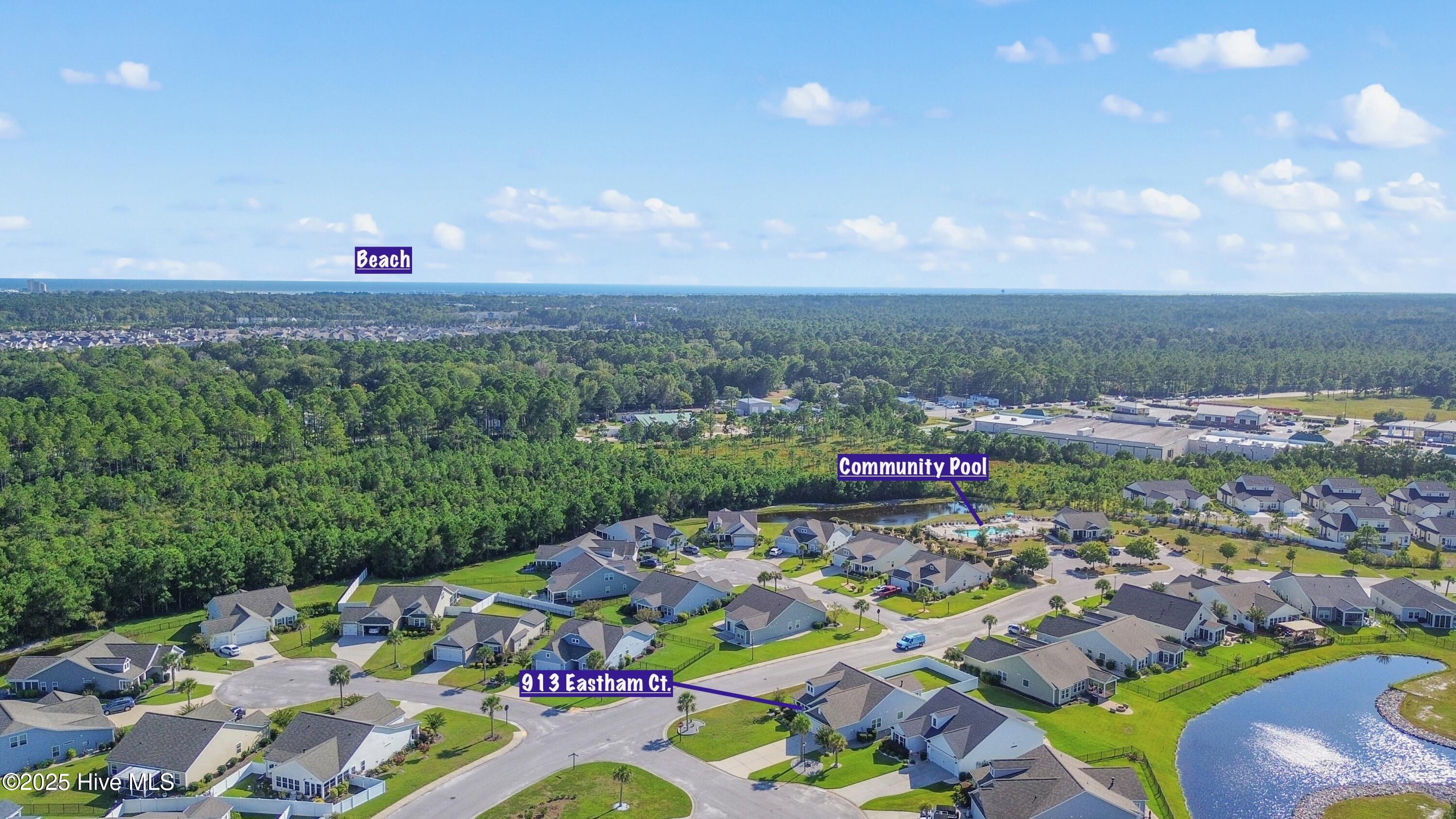 100535031 | Photo 44