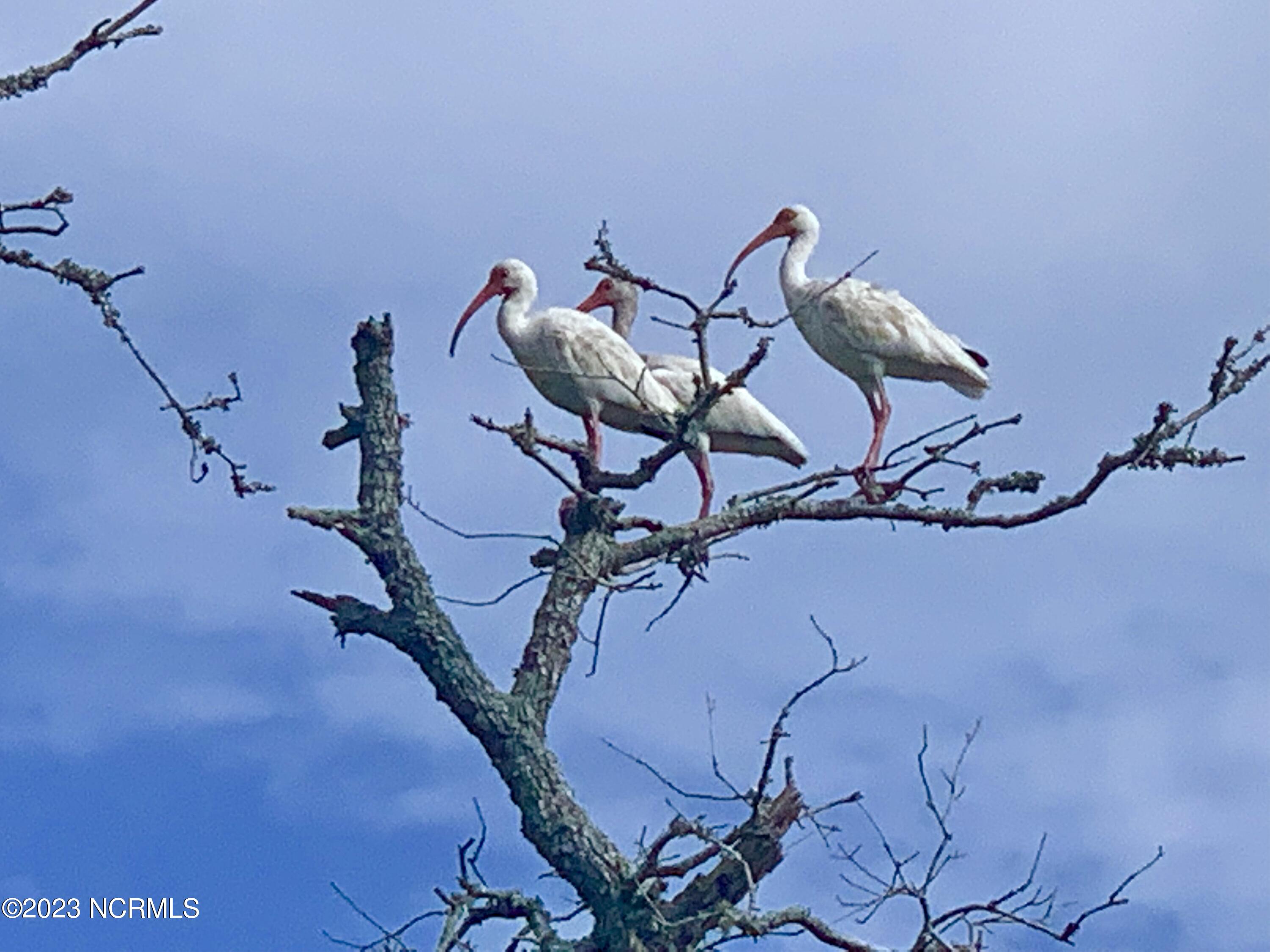 100388234 | Photo 39