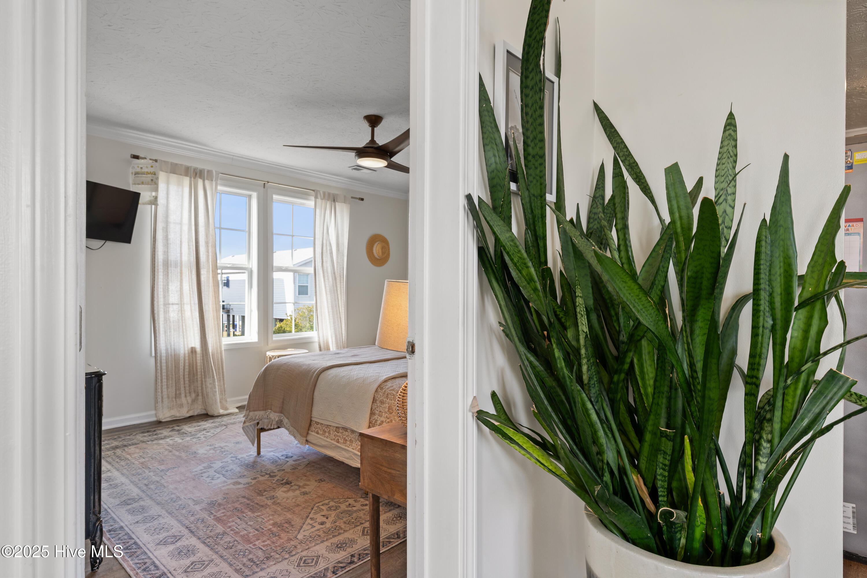 100544143 | Photo 14