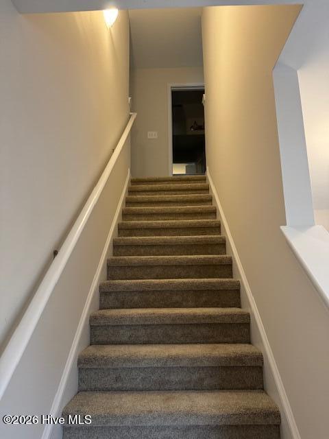 100523554 | Photo 12