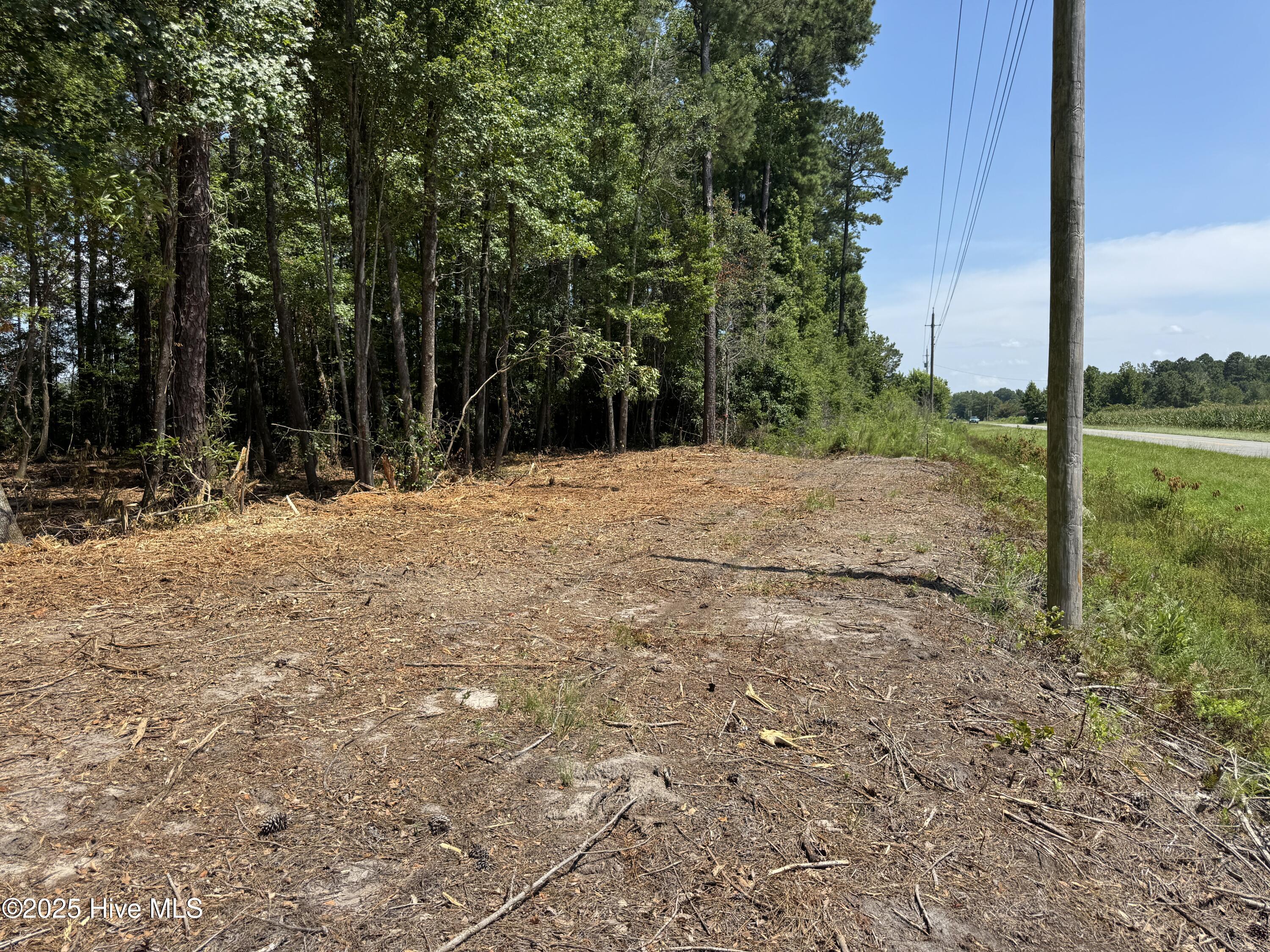 Shirley Johnson - MLS Number: 100575577