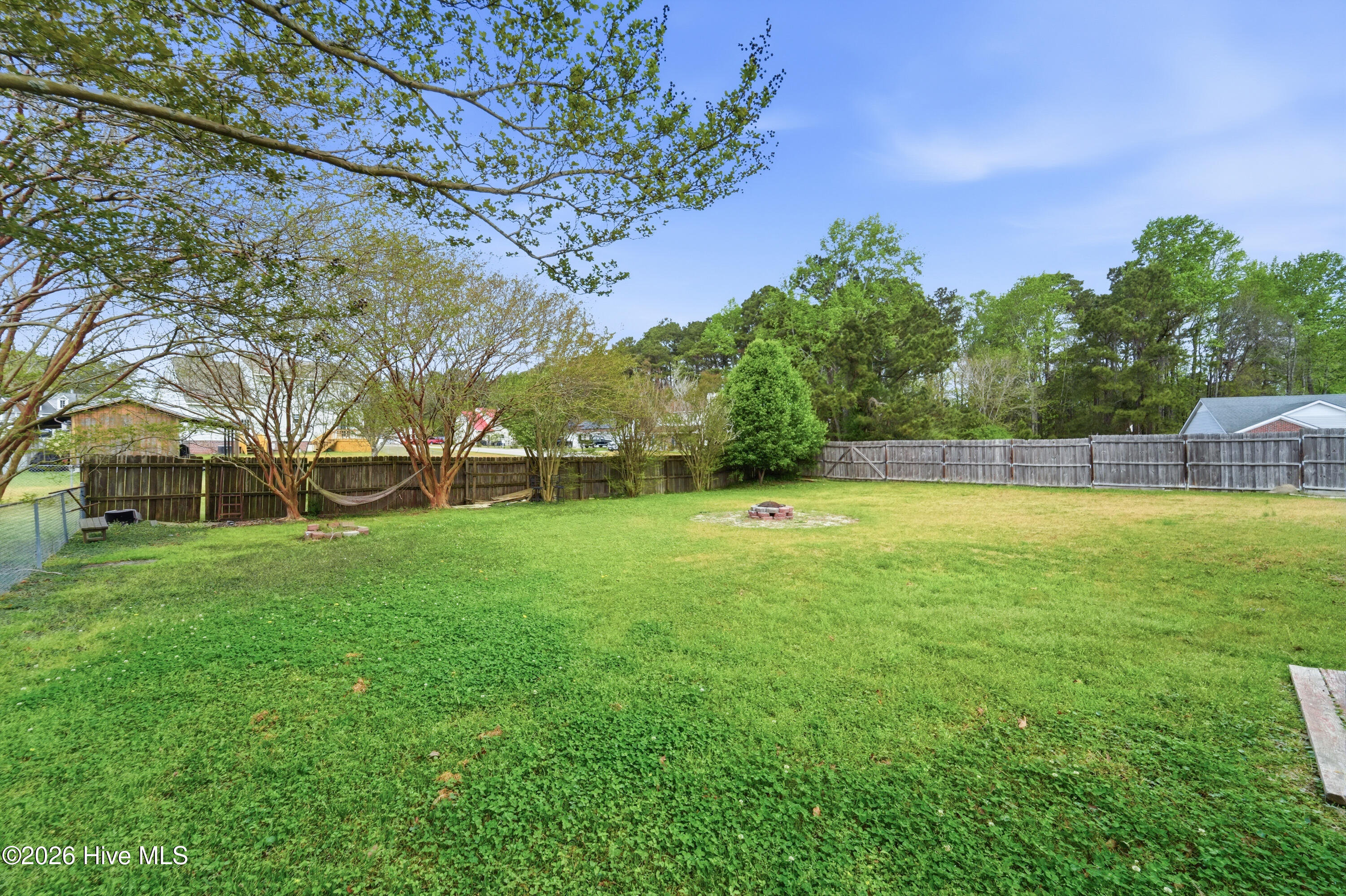 100559067 | Photo 15