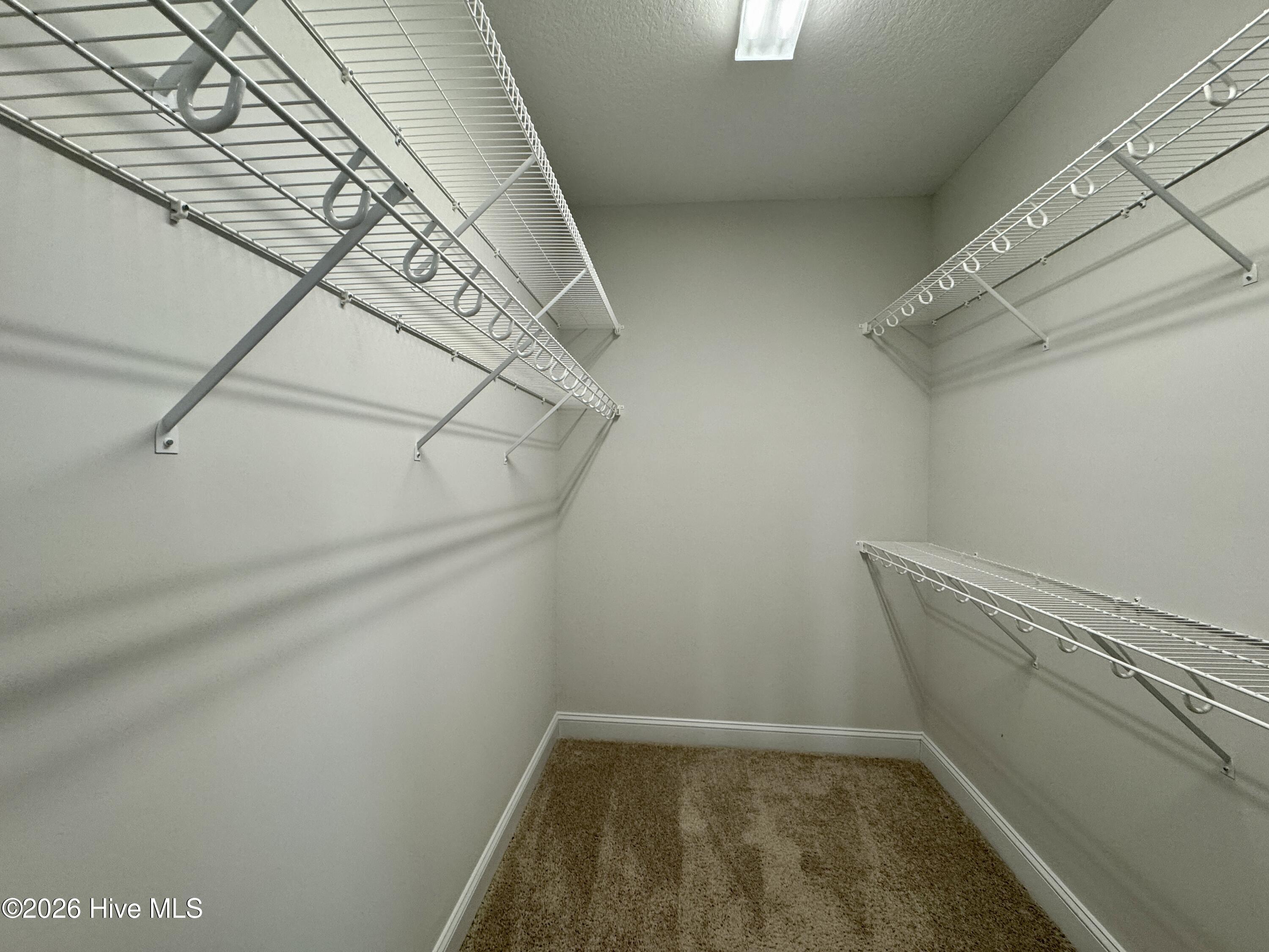 100555897 | Photo 12