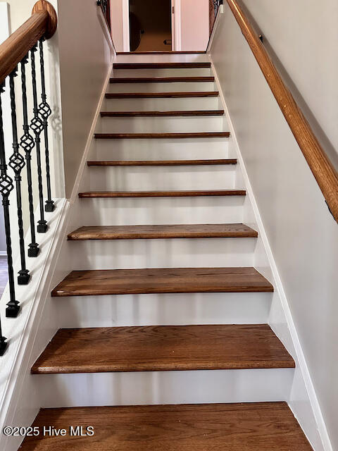 100542566 | Photo 40