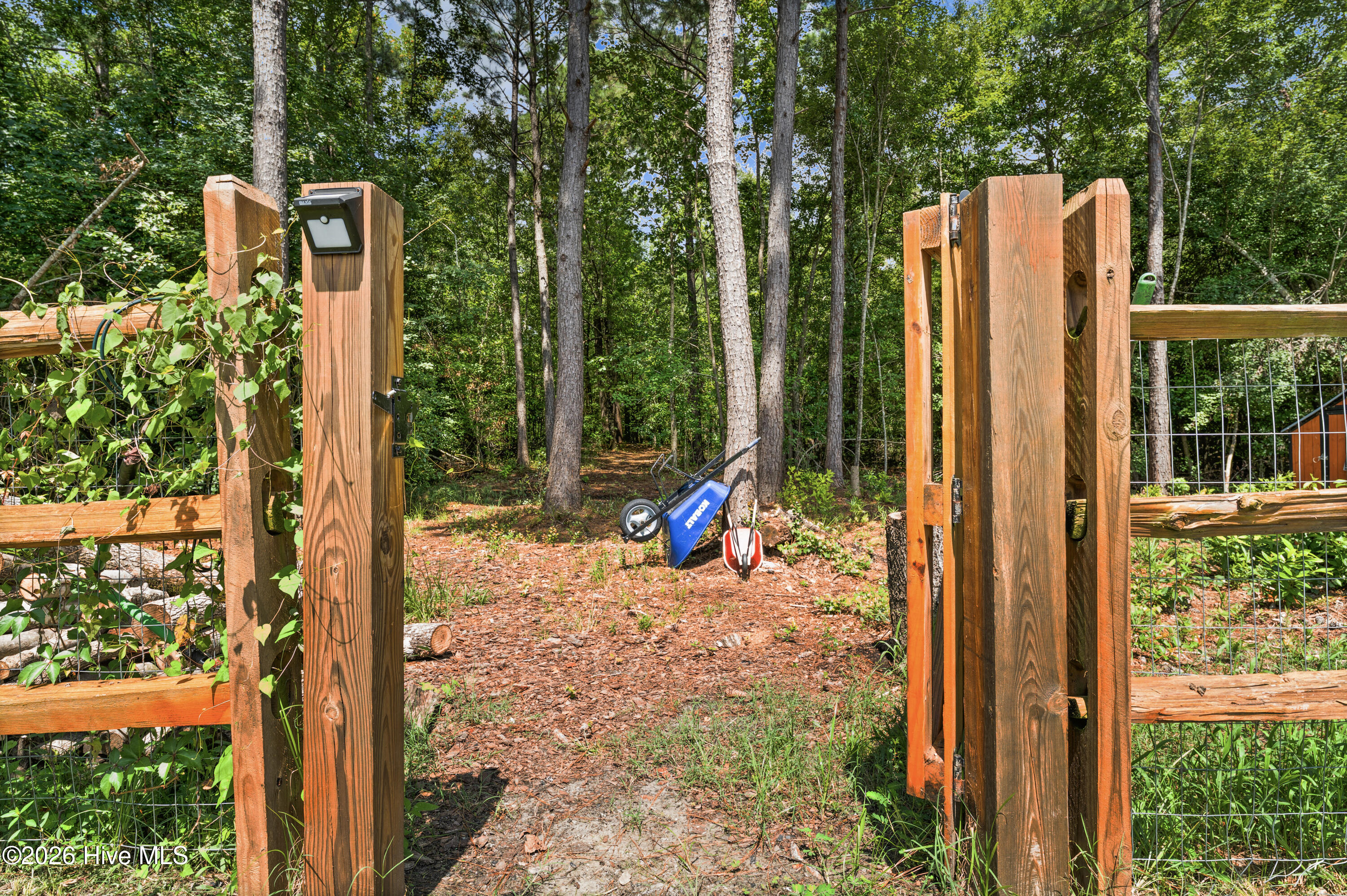 100555595 | Photo 40