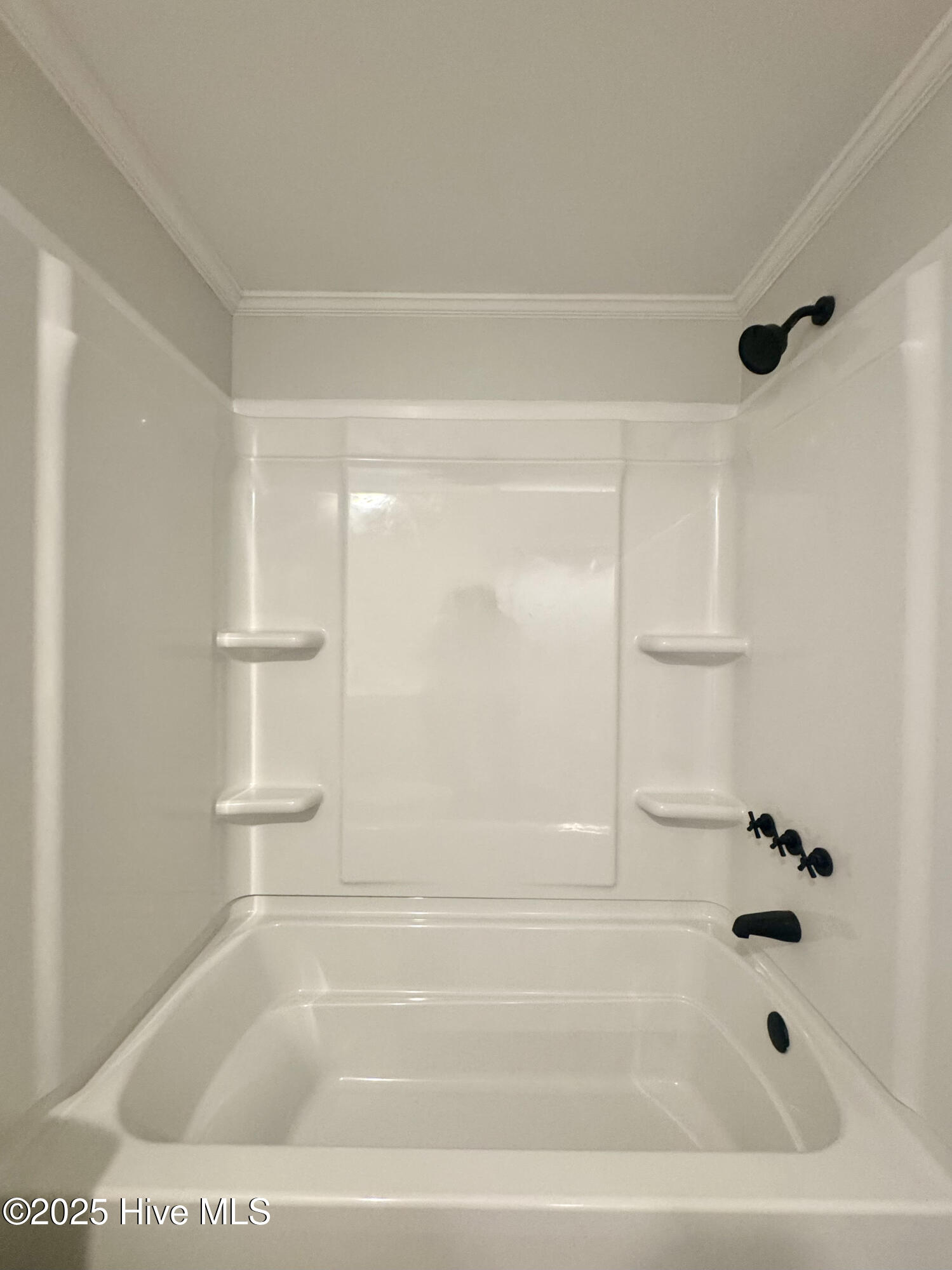 100546285 | Photo 42