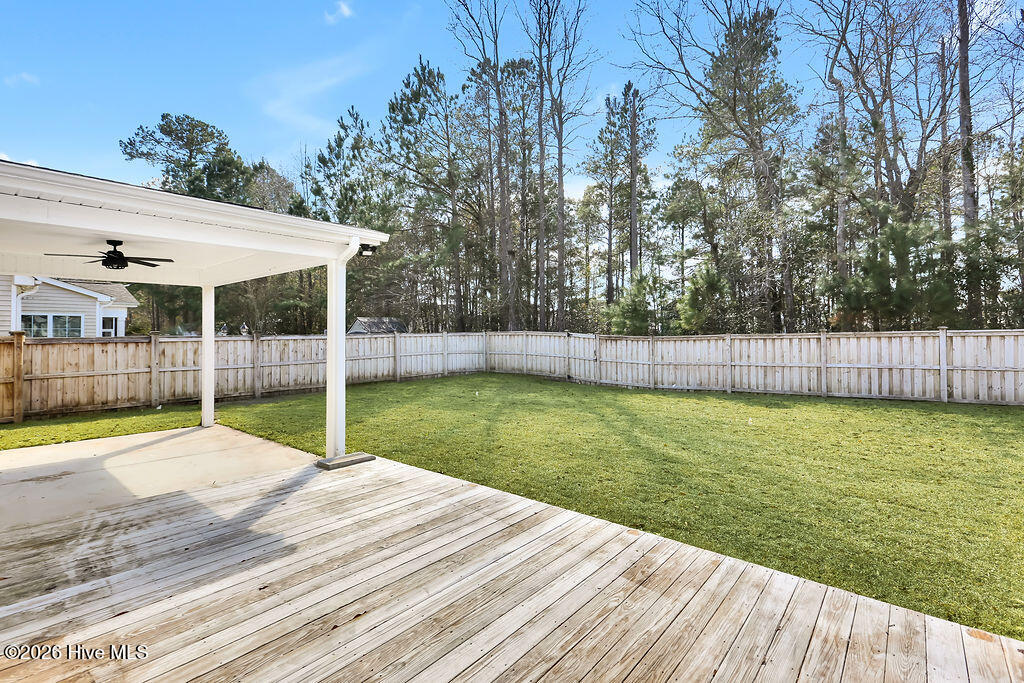 100558736 | Photo 35