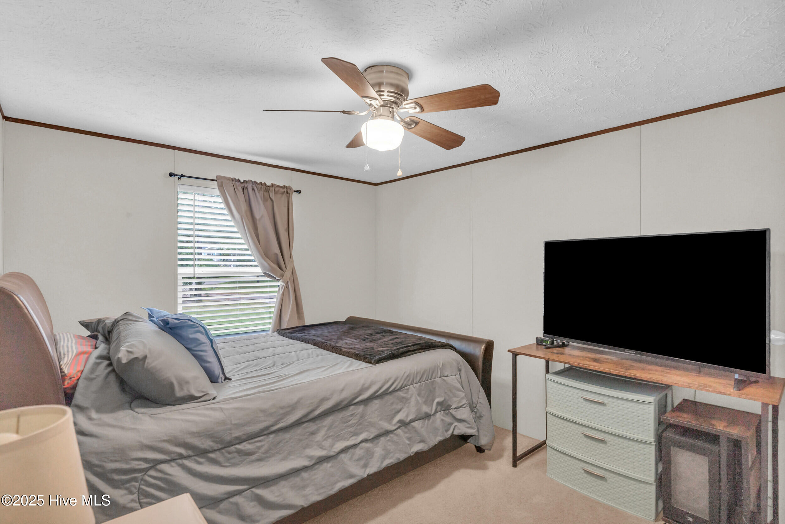 100533753 | Photo 19