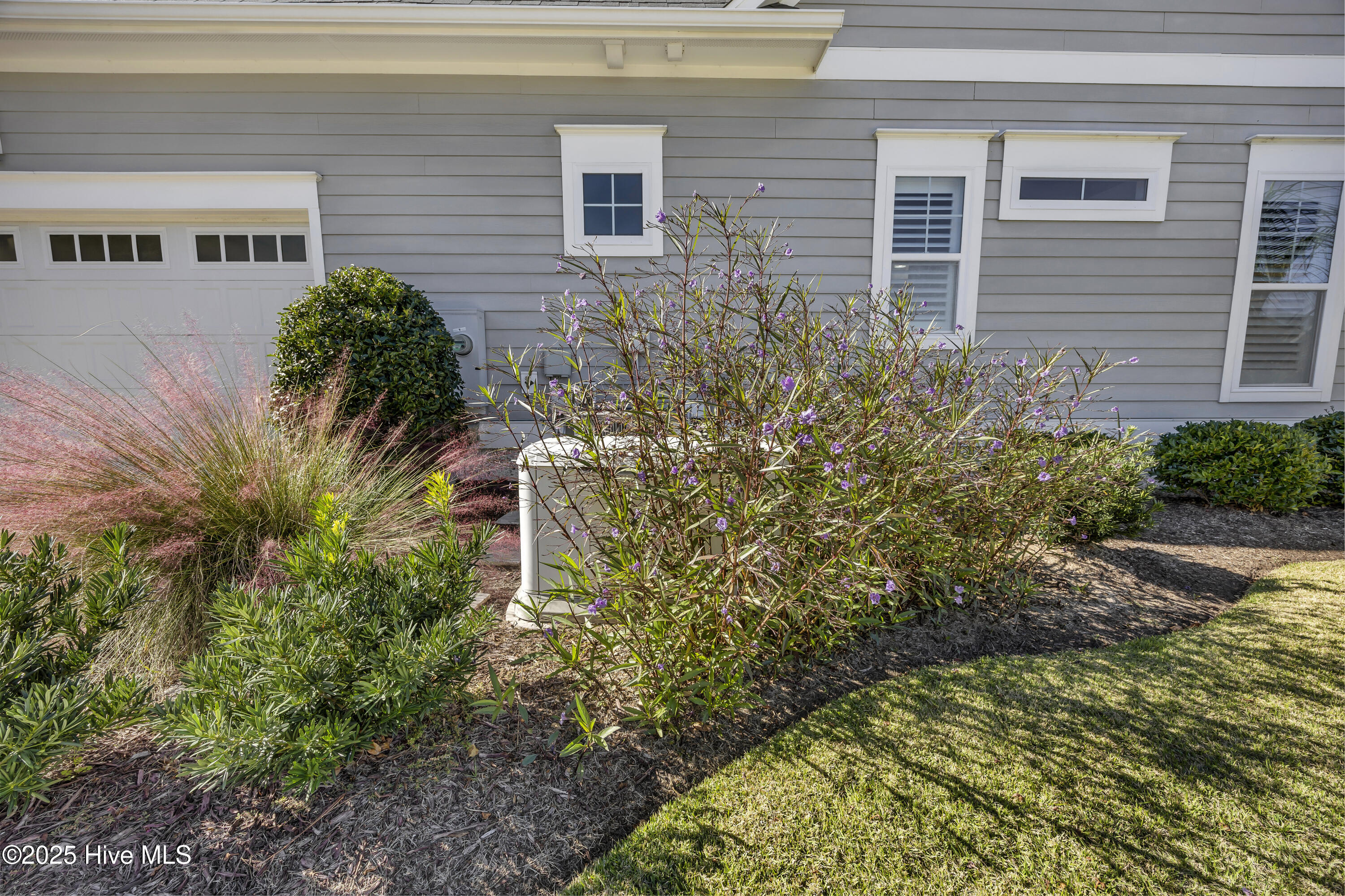 100538273 | Photo 46