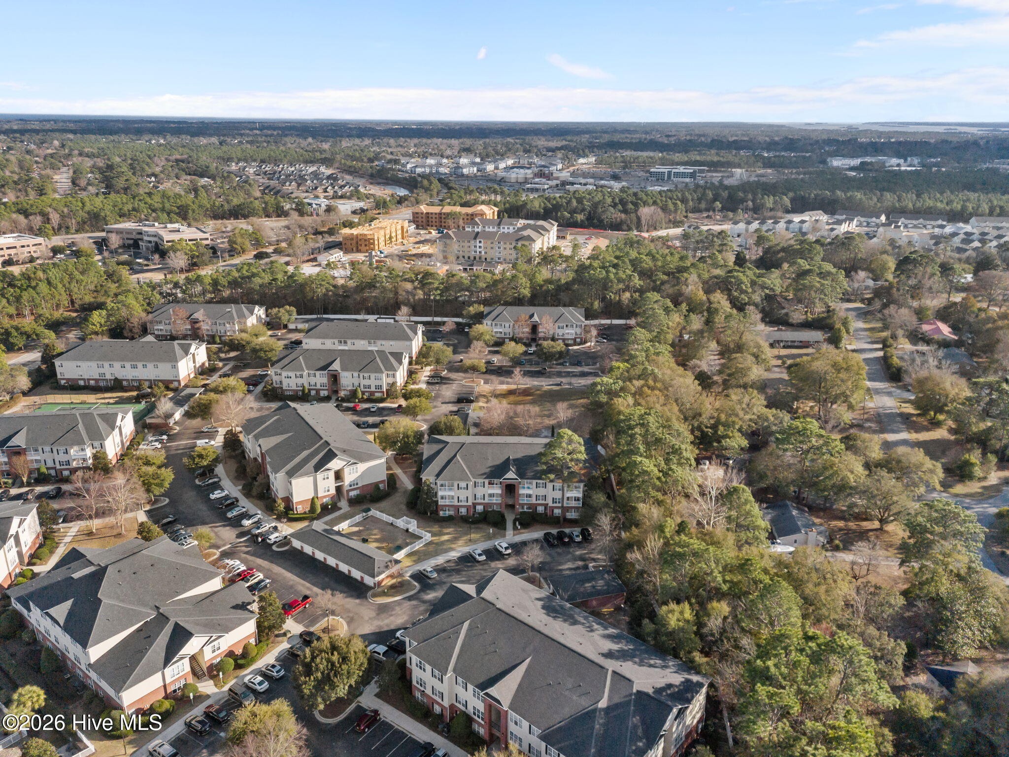 100558986 | Photo 24