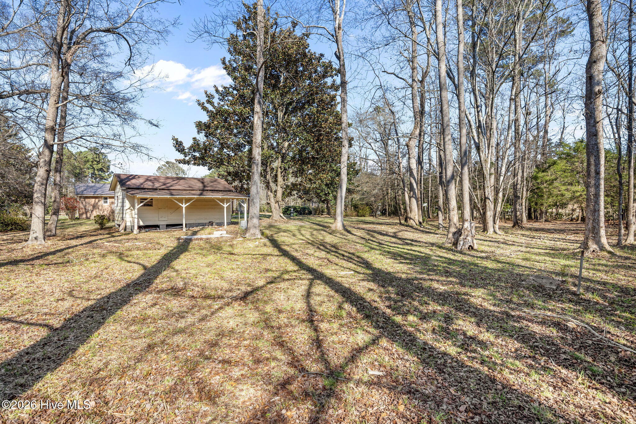 100559935 | Photo 13