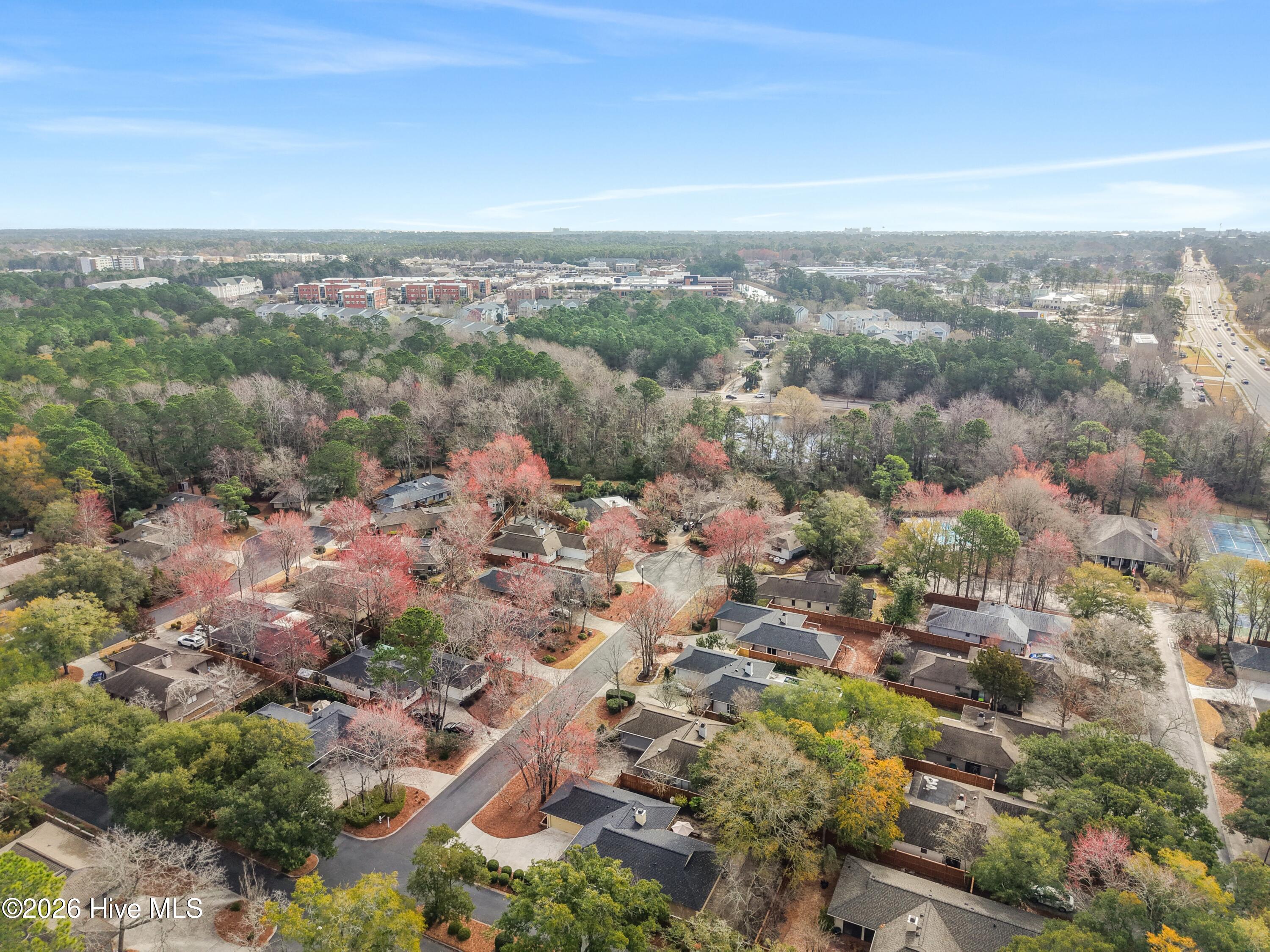 100558002 | Photo 44