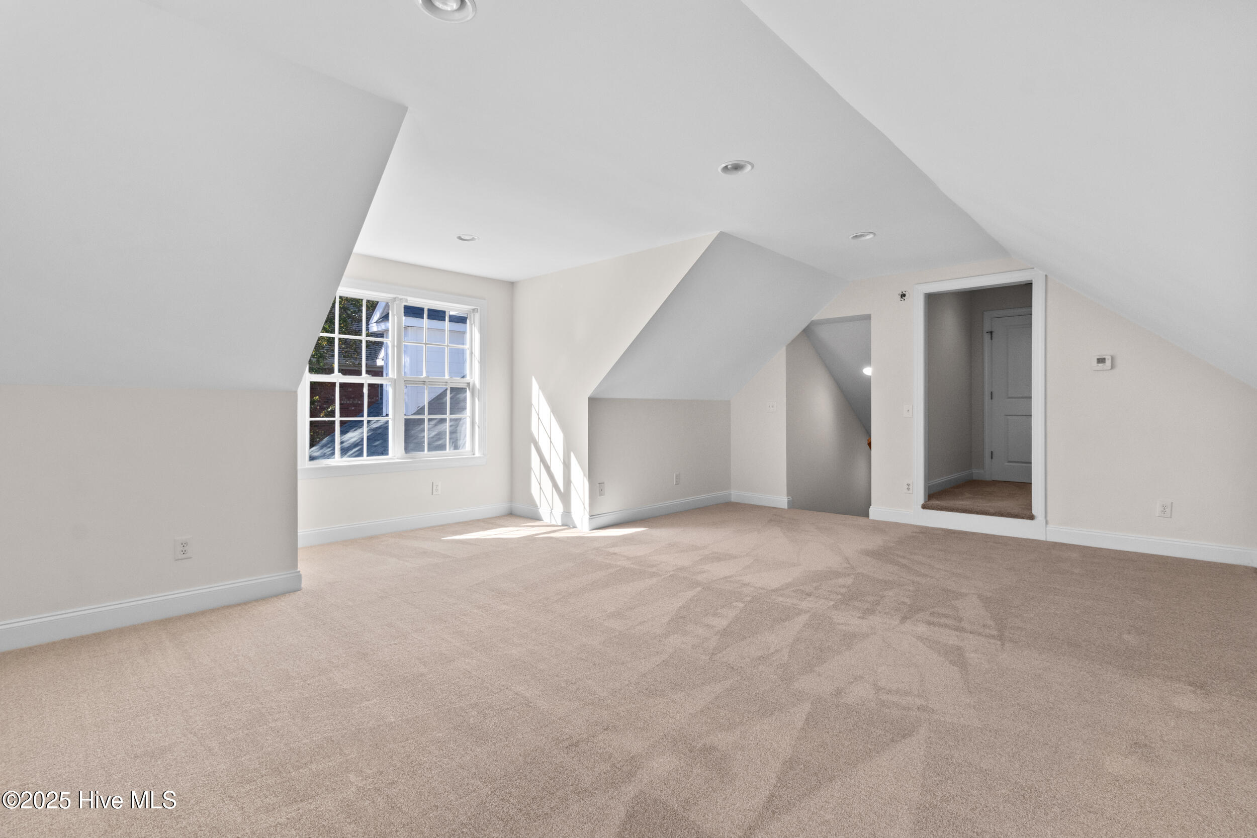 100541482 | Photo 29