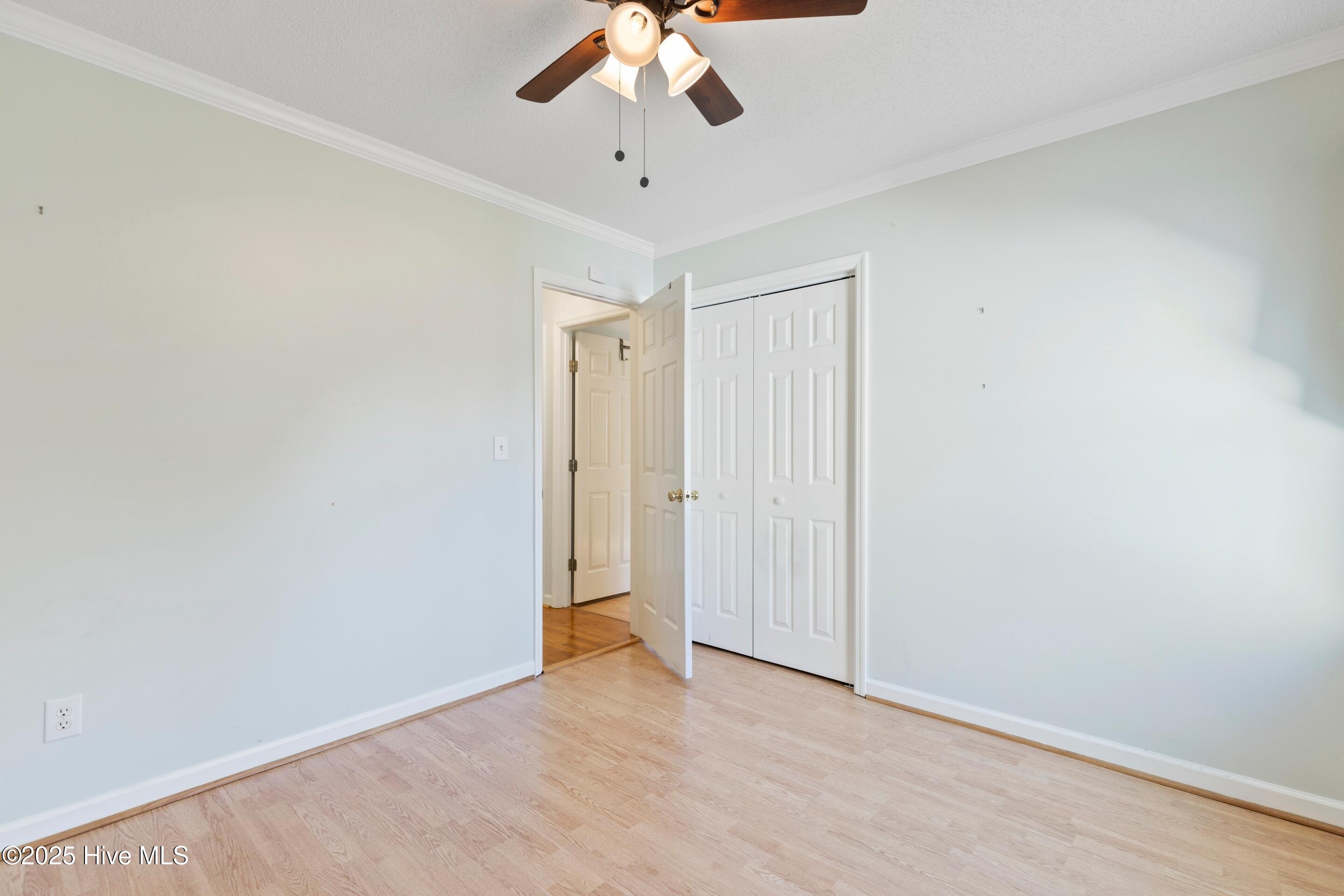 100540586 | Photo 45