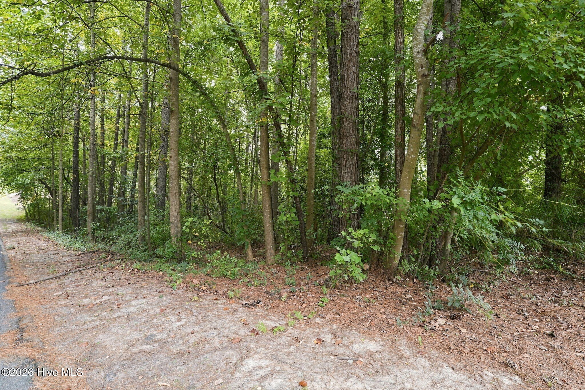 Photo 2 of Land for sale at 134 Bellhaven Dr, Carthage, NC 28327 | MLS# 100608306 | Listing updated on 2026-10-06