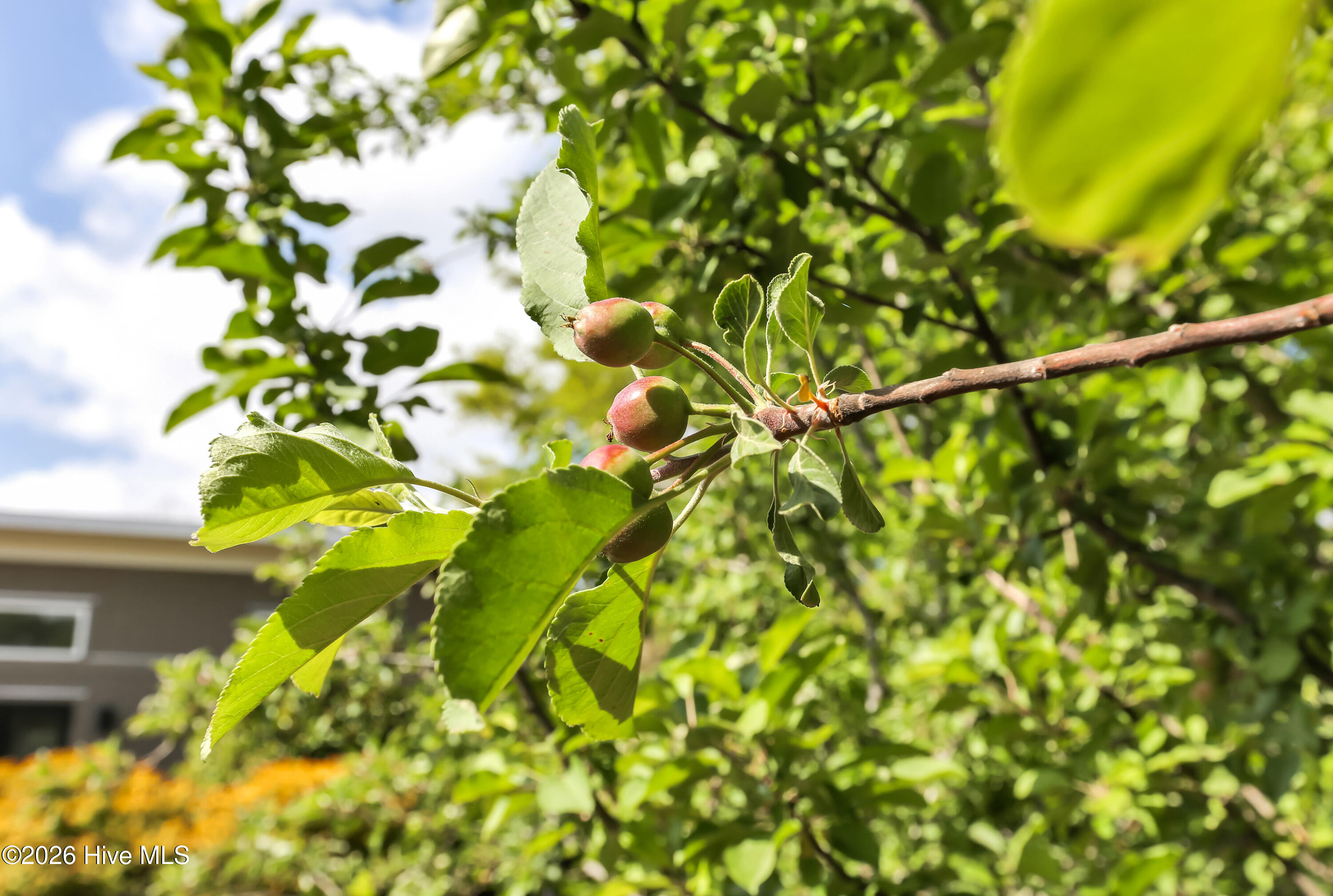 100565189 | Photo 45