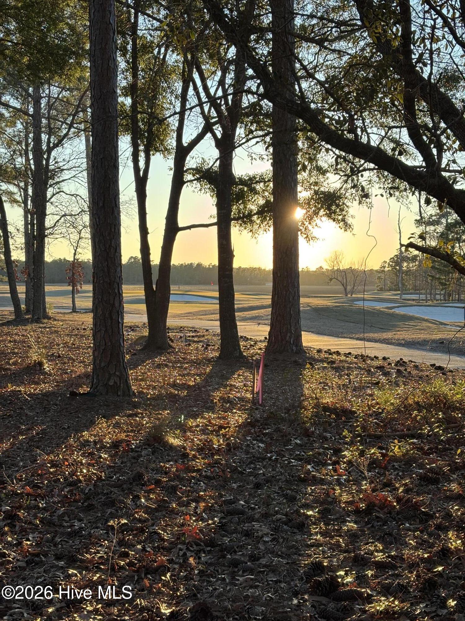 100554339 | Photo 15