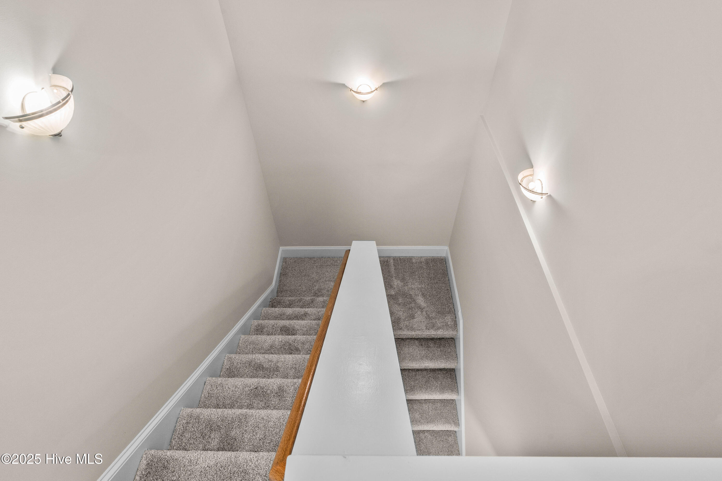 100537525 | Photo 50