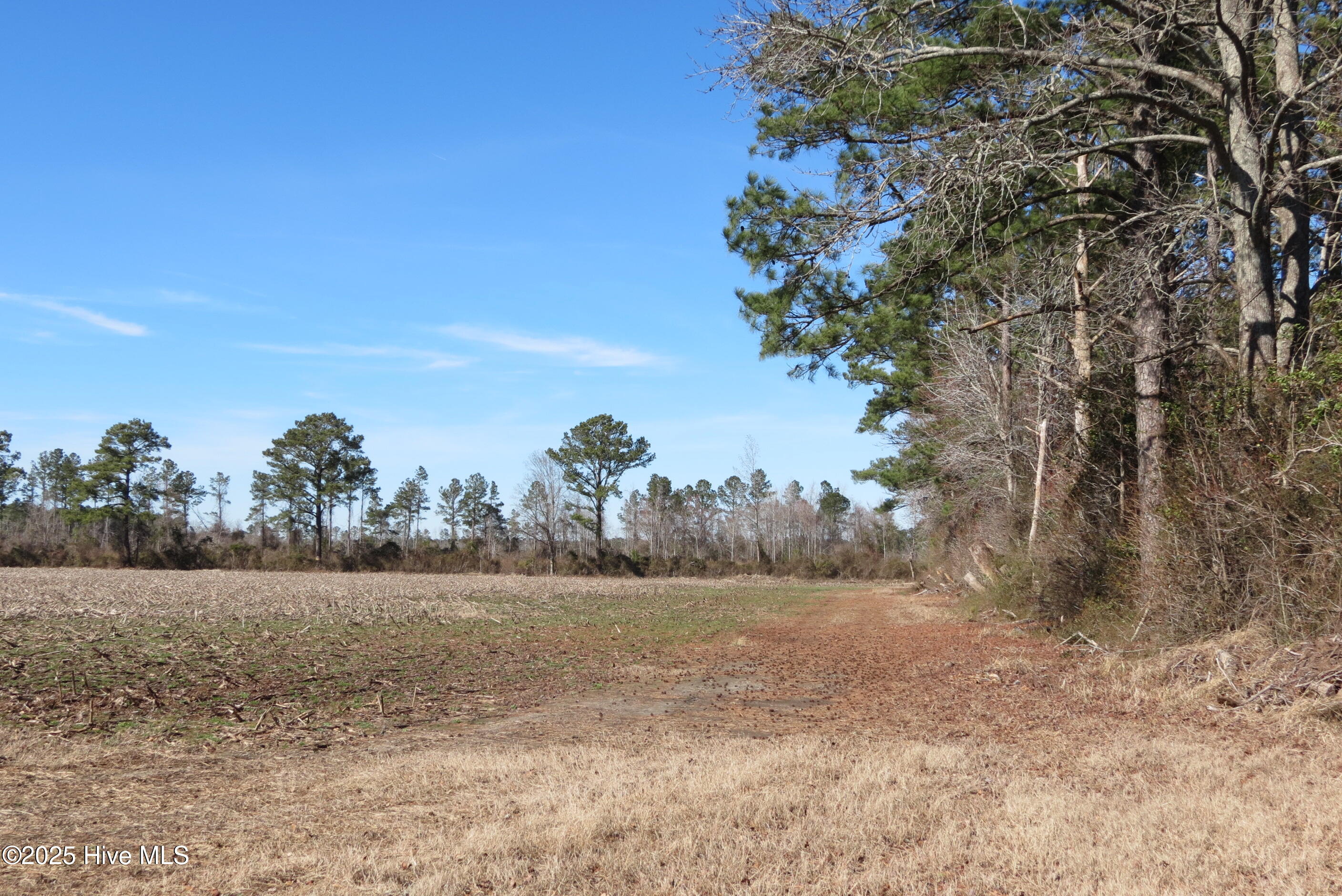 0 Neals Creek Road,Bayboro