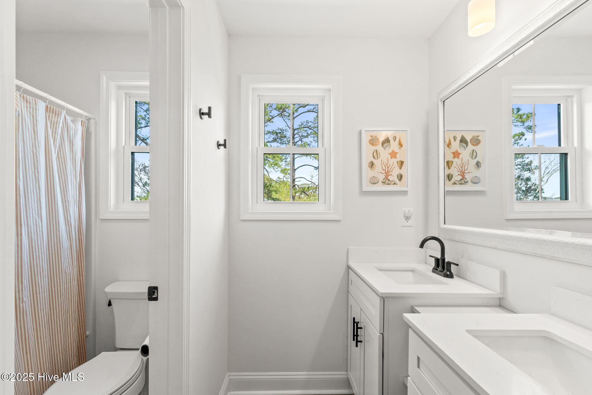 100496086 | Photo 50