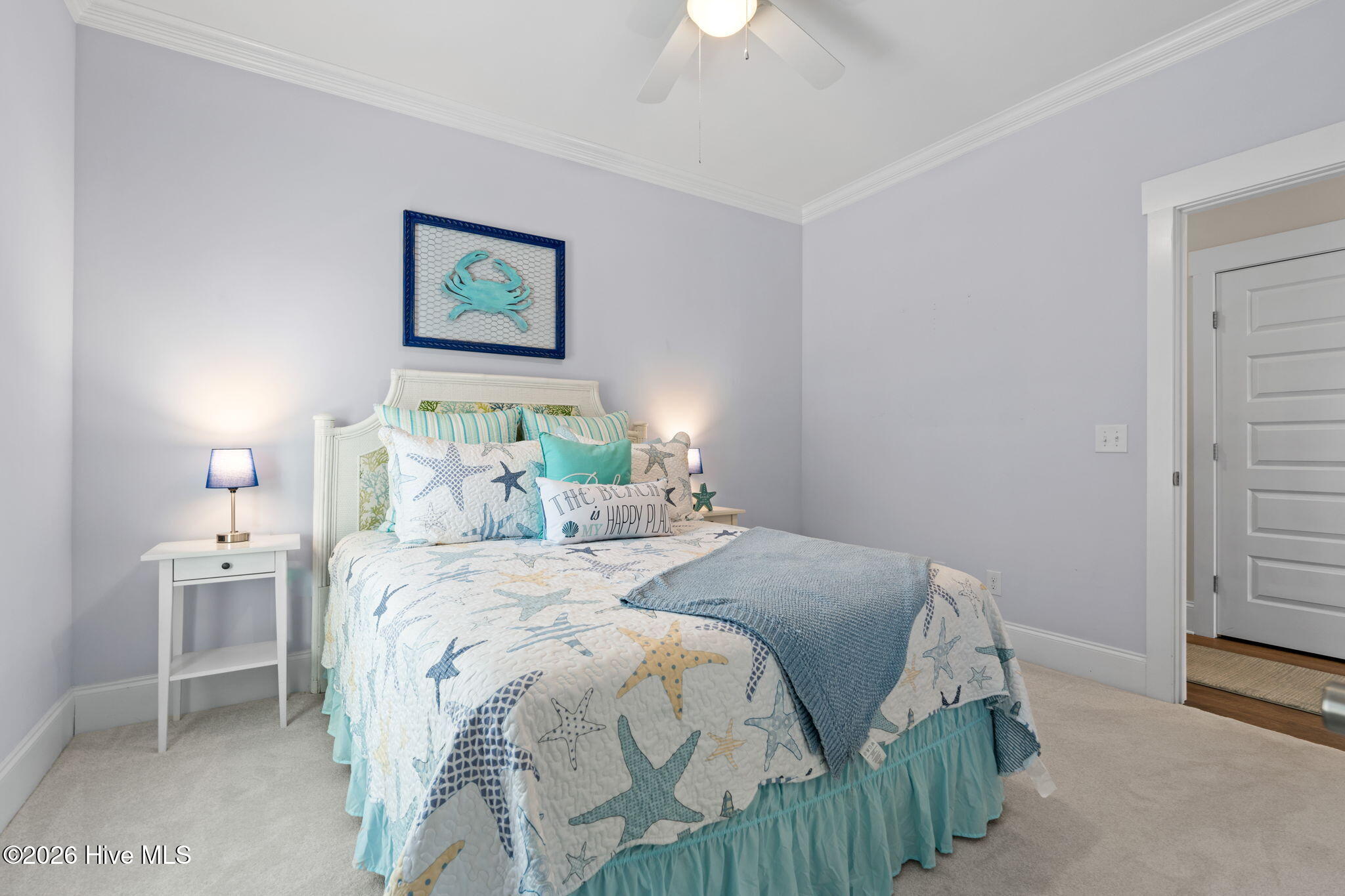 100563118 | Photo 31