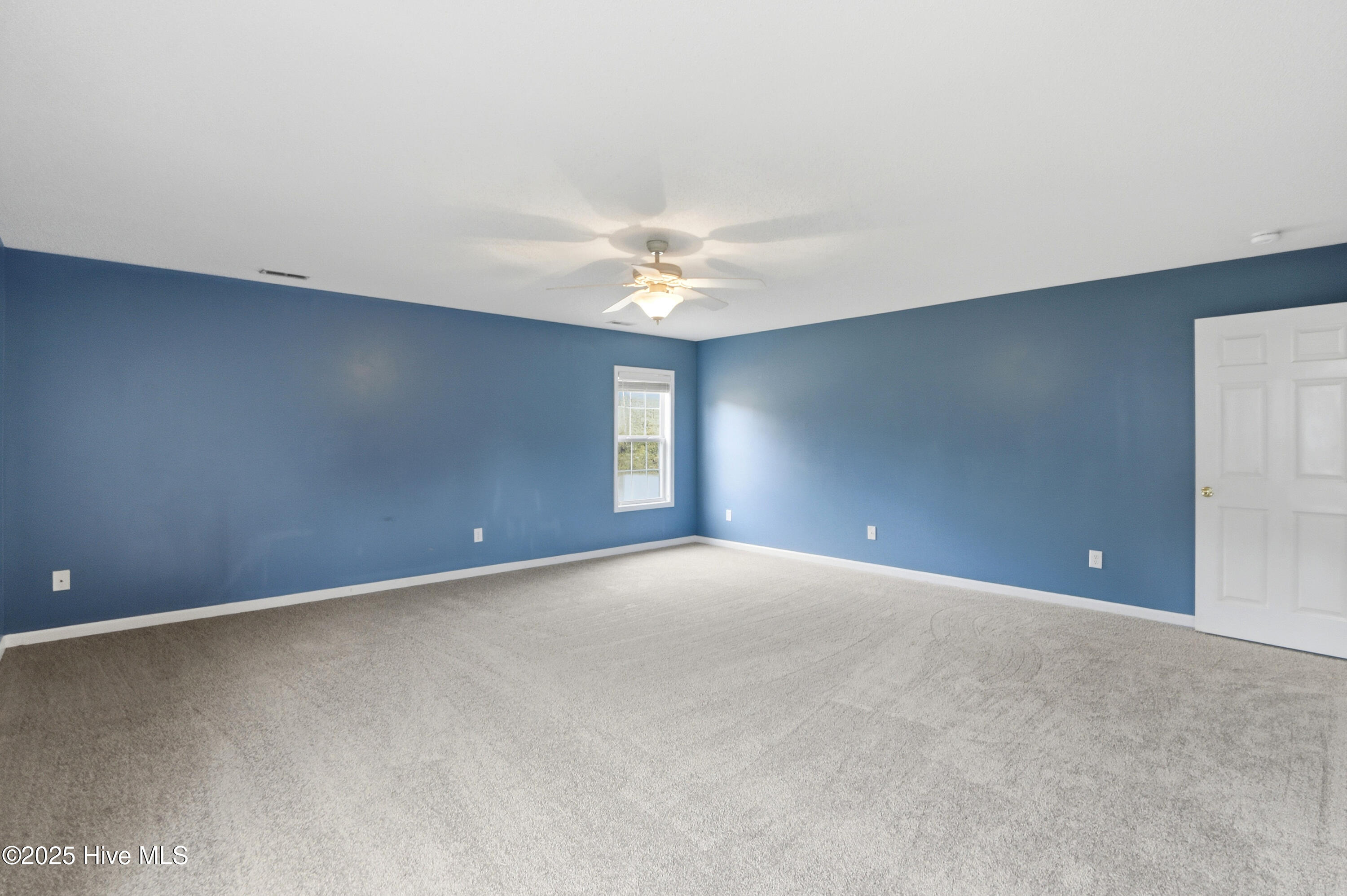 100531186 | Photo 21