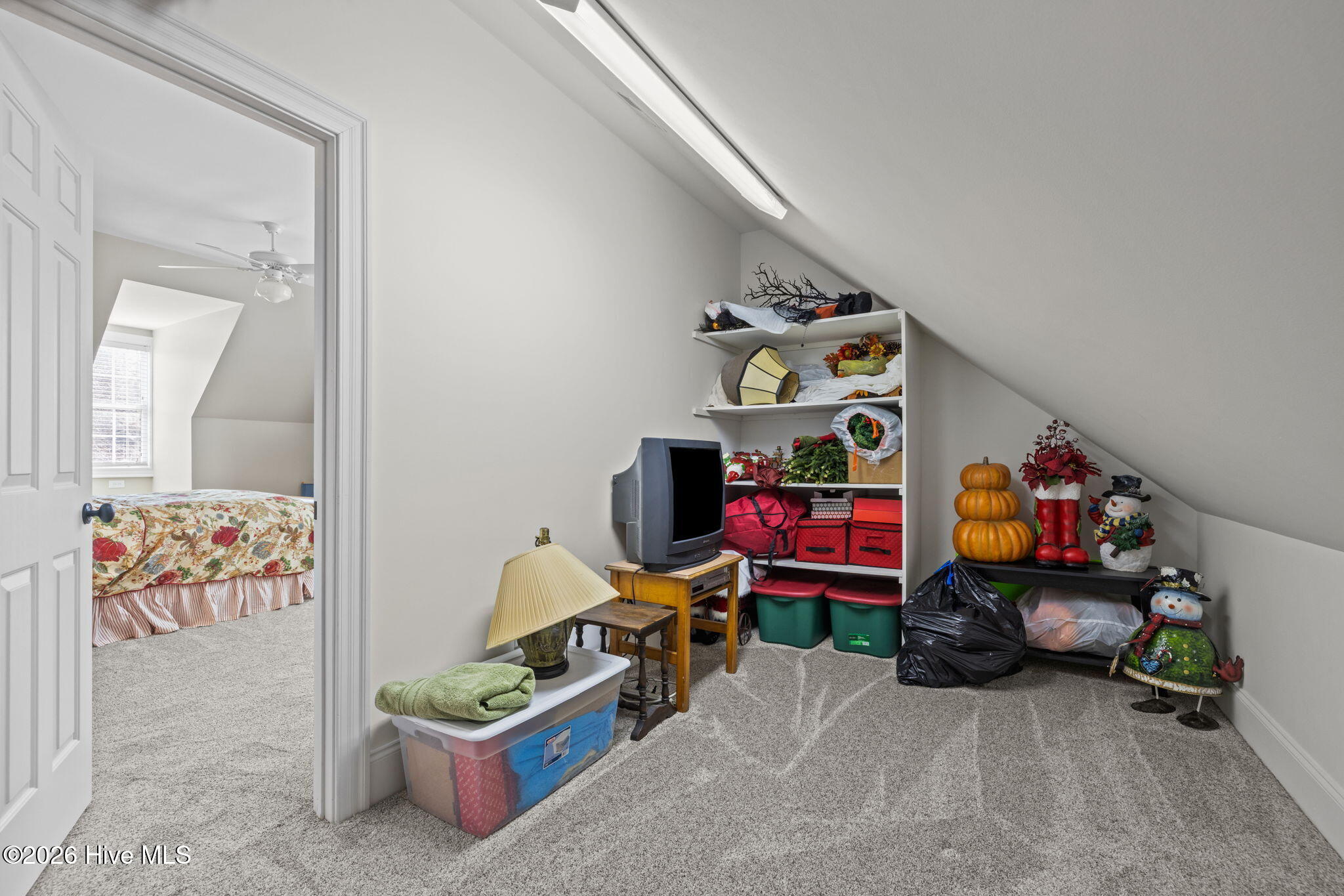 100554382 | Photo 36