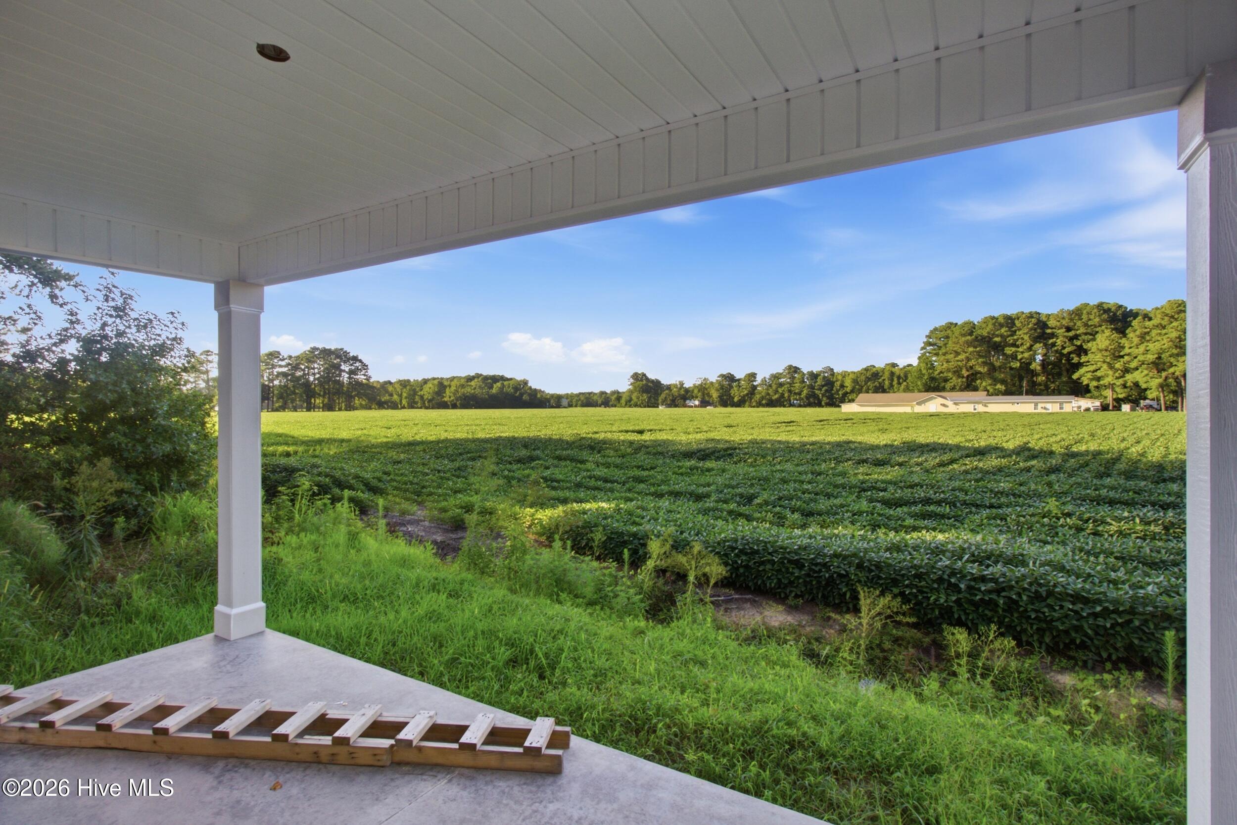 314 Camp Creek Drive,Oriental