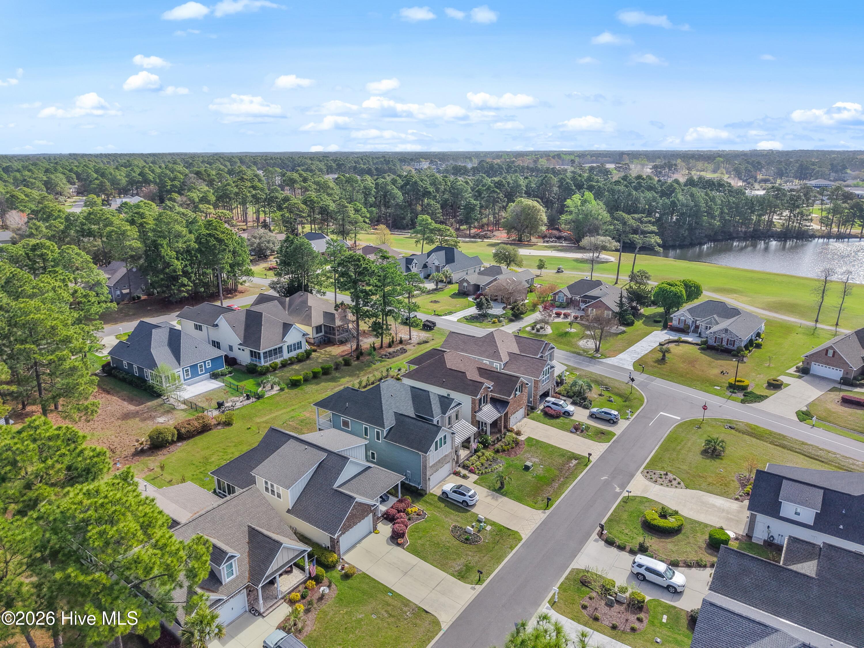 100563777 | Photo 41