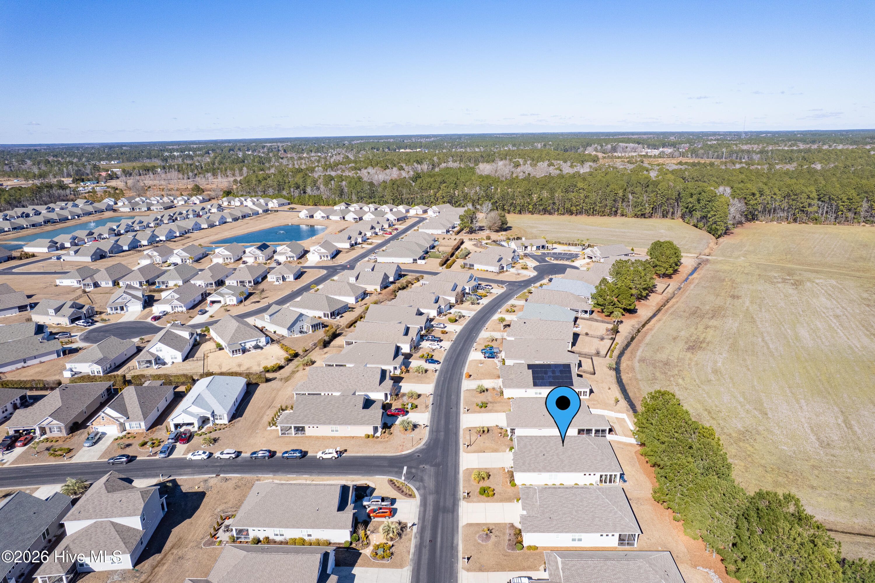 100555117 | Photo 51