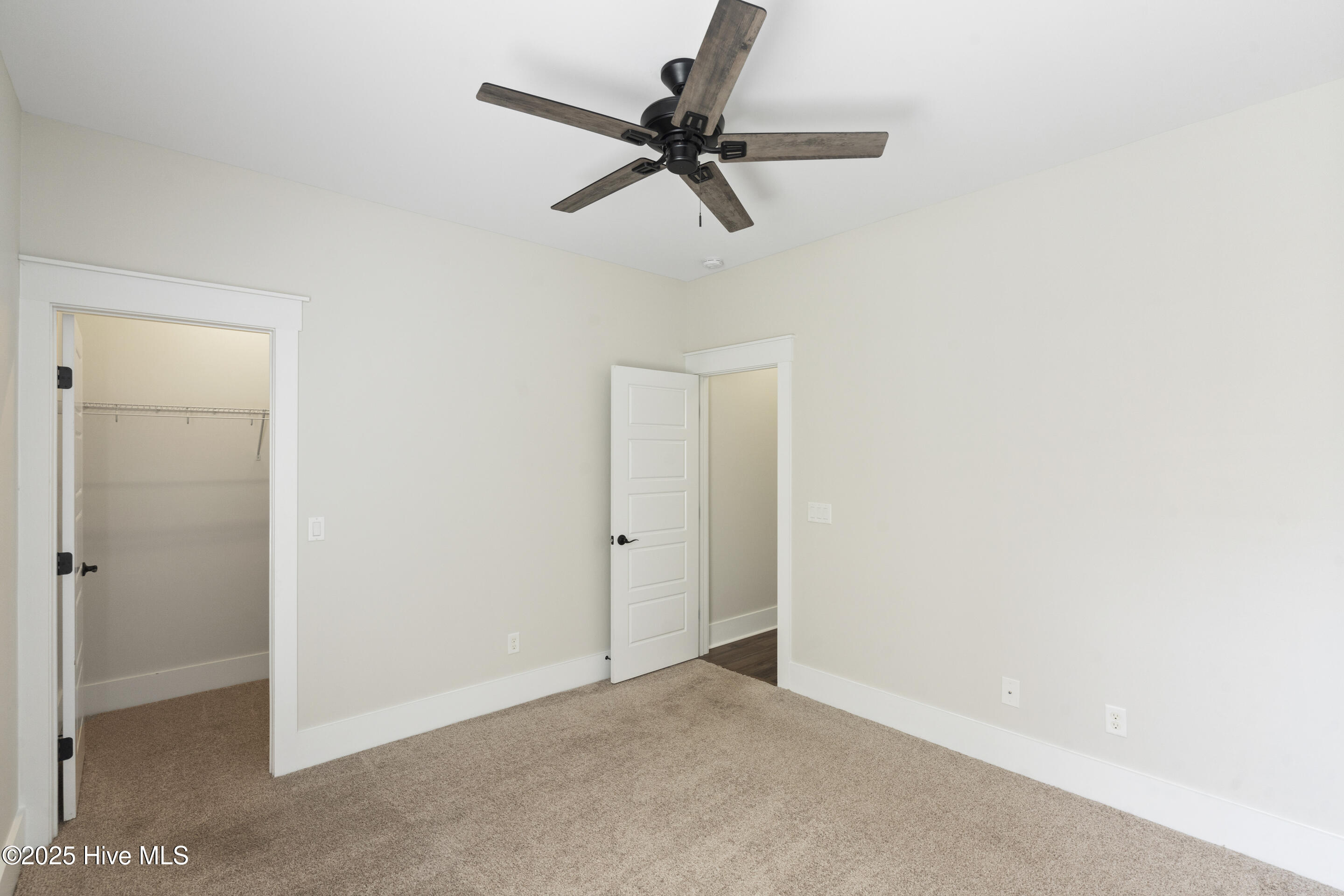 100497870 | Photo 14