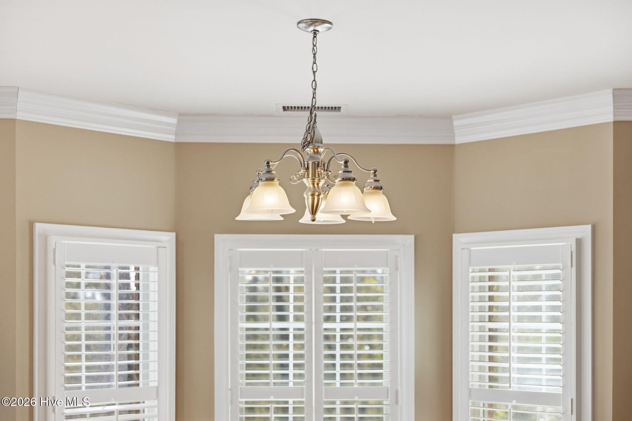 100565083 | Photo 24