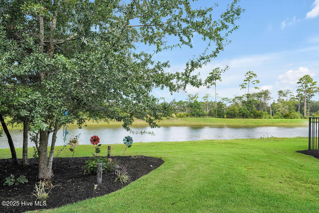 100535005 | Photo 38